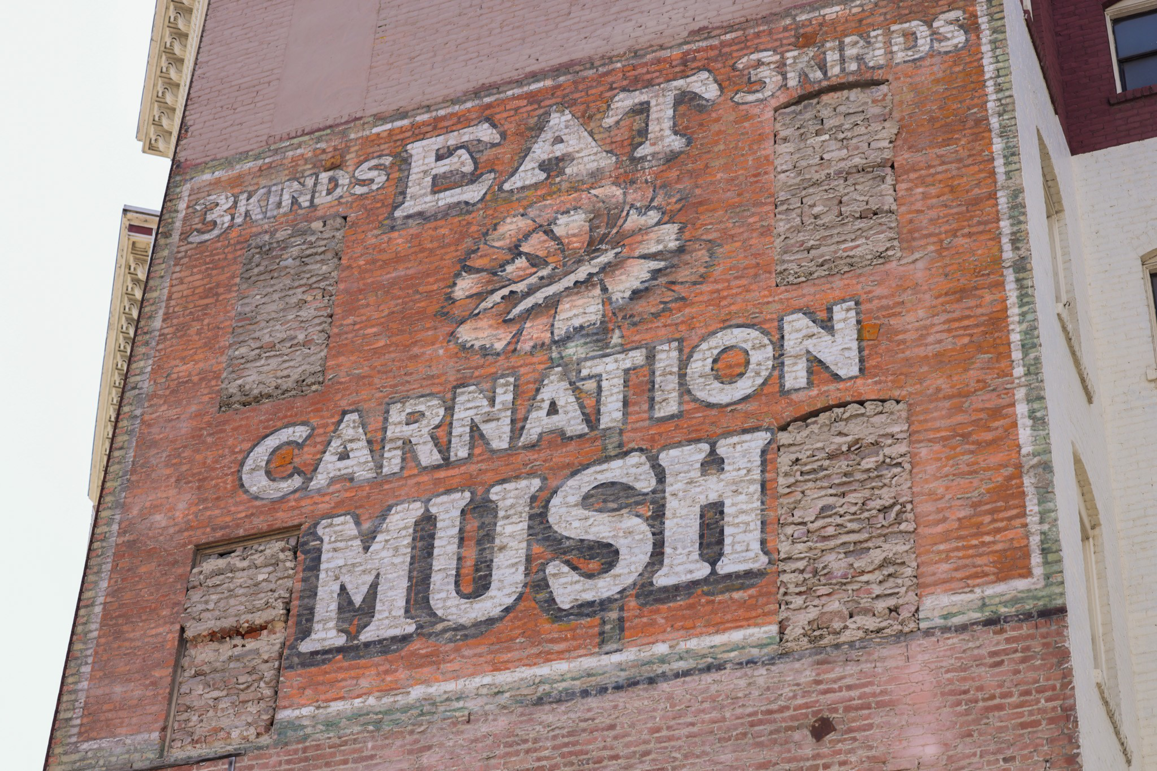 A faded brick wall advertising "3 KINDS EAT 3 KINDS CARNATION MUSH" with a large flower illustration in the center and bricked-up windows.