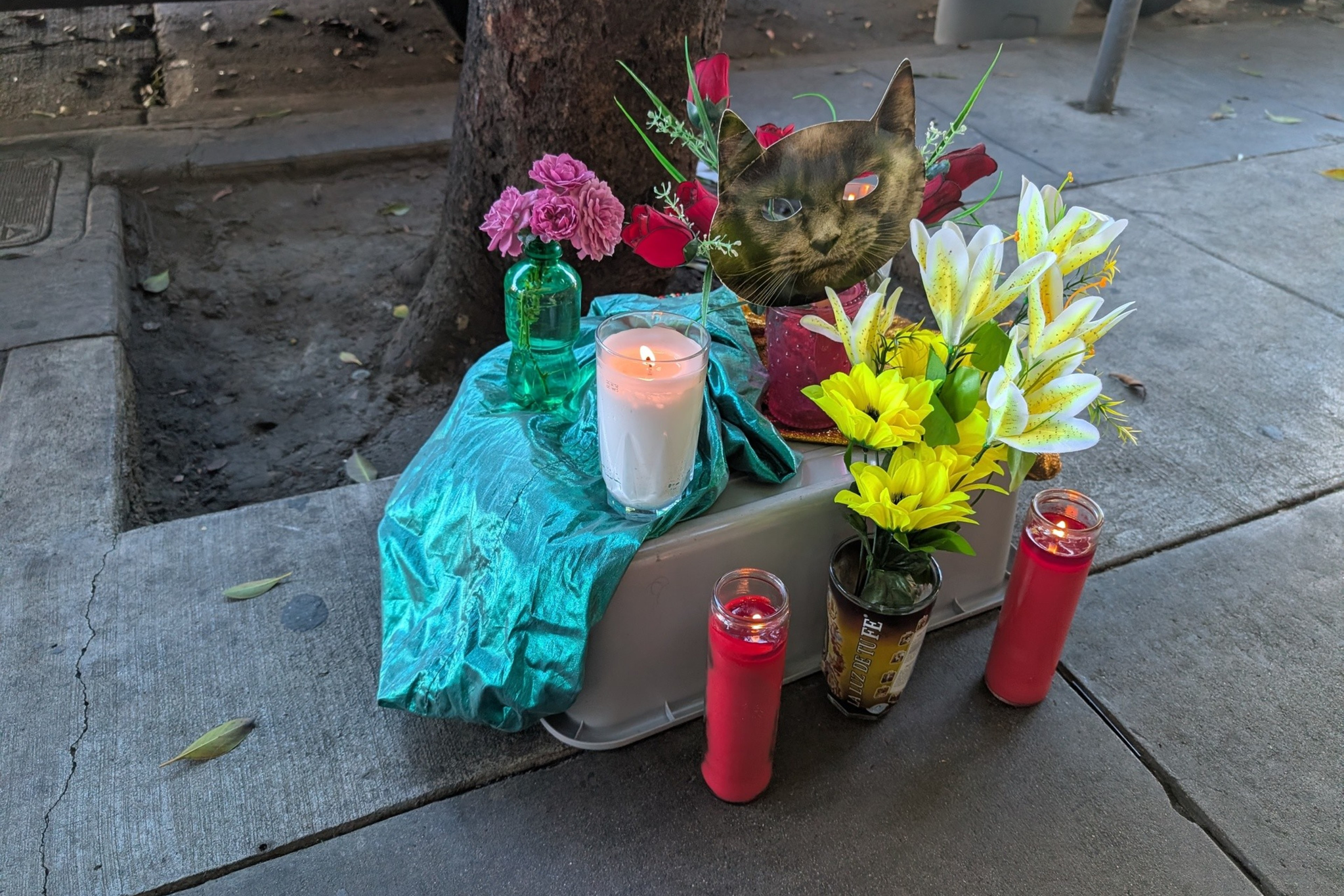 A small memorial on the sidewalk features flowers, red and white candles, a green glass bottle, a teal cloth, and a photo of a cat's face.