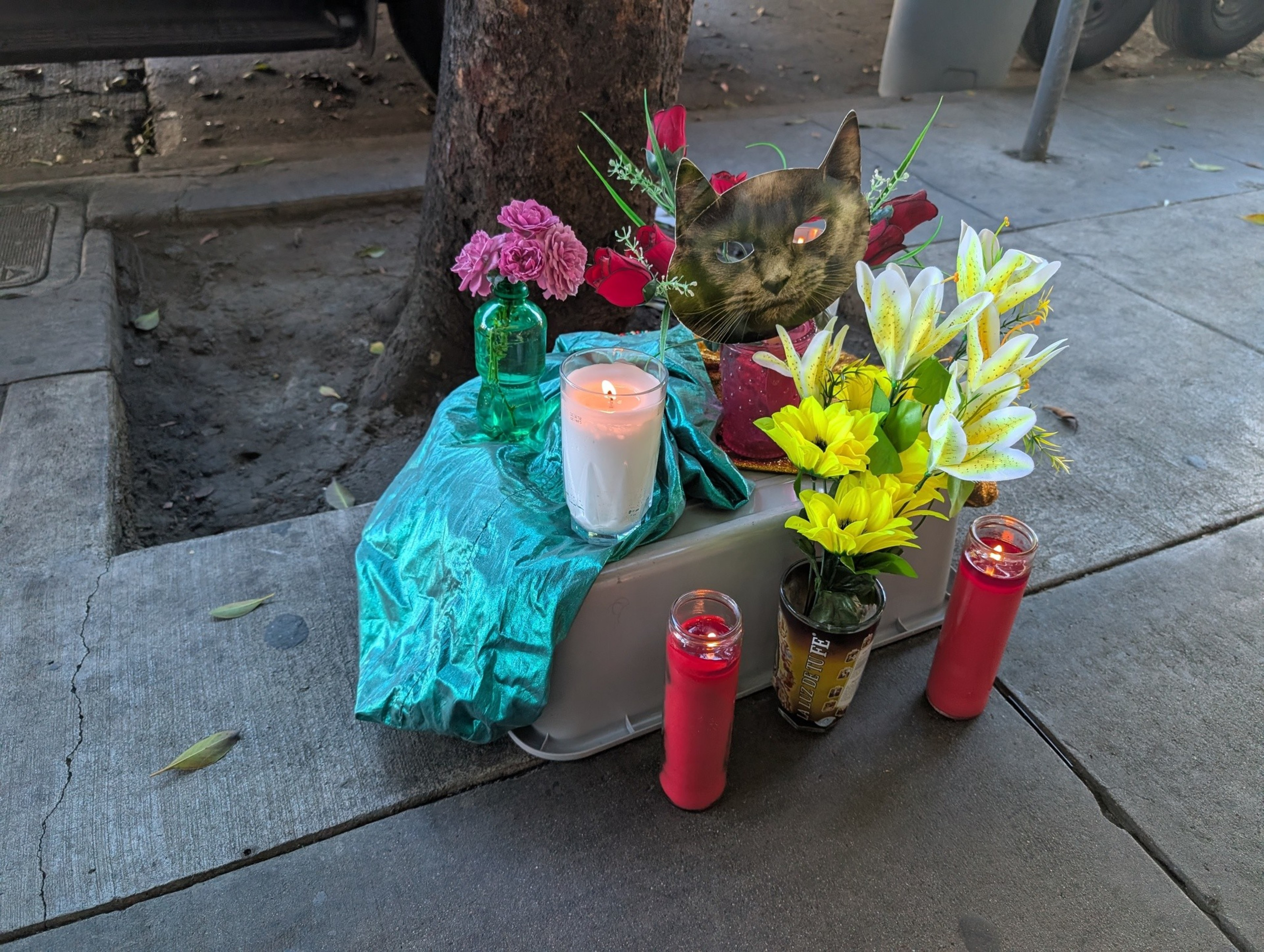 A small memorial on the sidewalk features flowers, red and white candles, a green glass bottle, a teal cloth, and a photo of a cat's face.