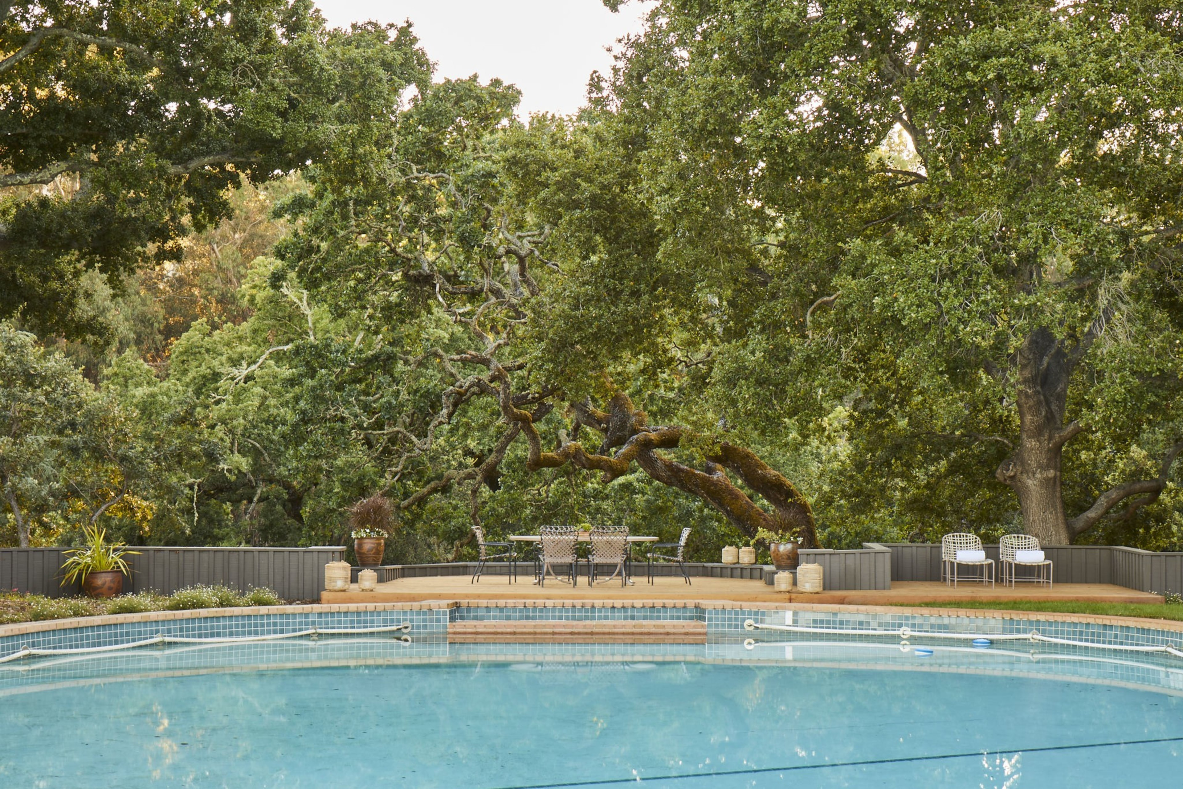 A pool surrounded by trees. 