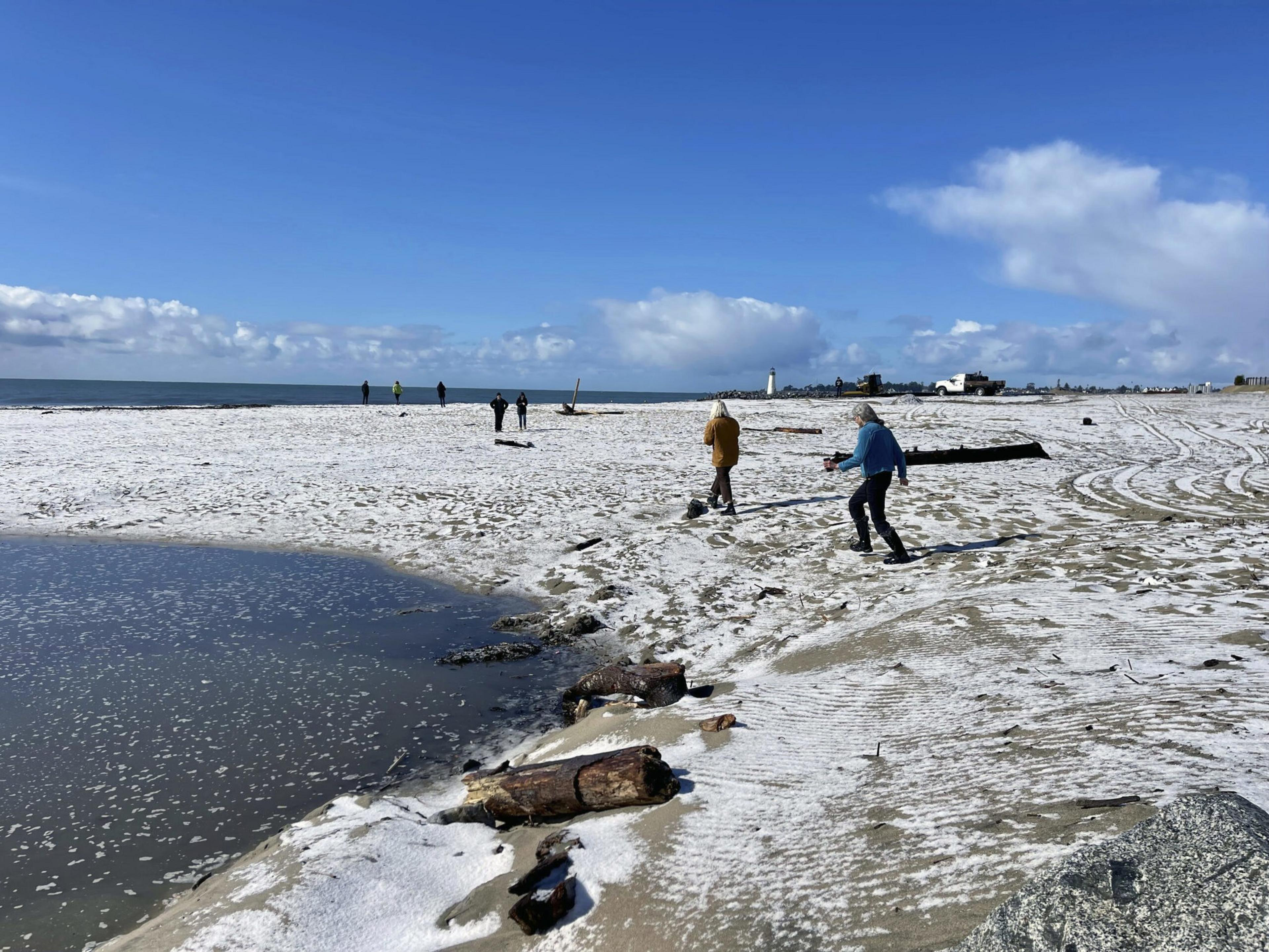 A sandy beach lightly dusted with snow has several people walking near scattered driftwood, with a calm ocean and blue sky with clouds in the background.