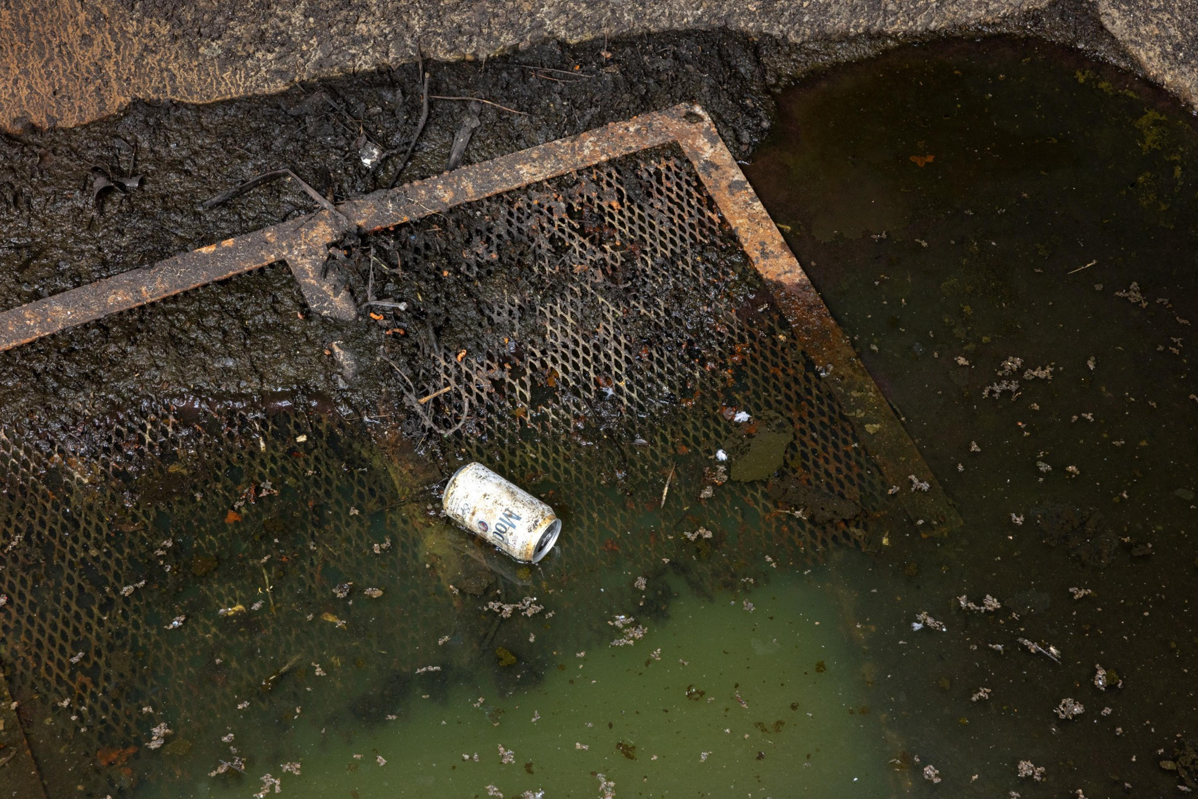A discarded can lies on a rusted metal grate, partially submerged in murky green water with muddy debris surrounding it.