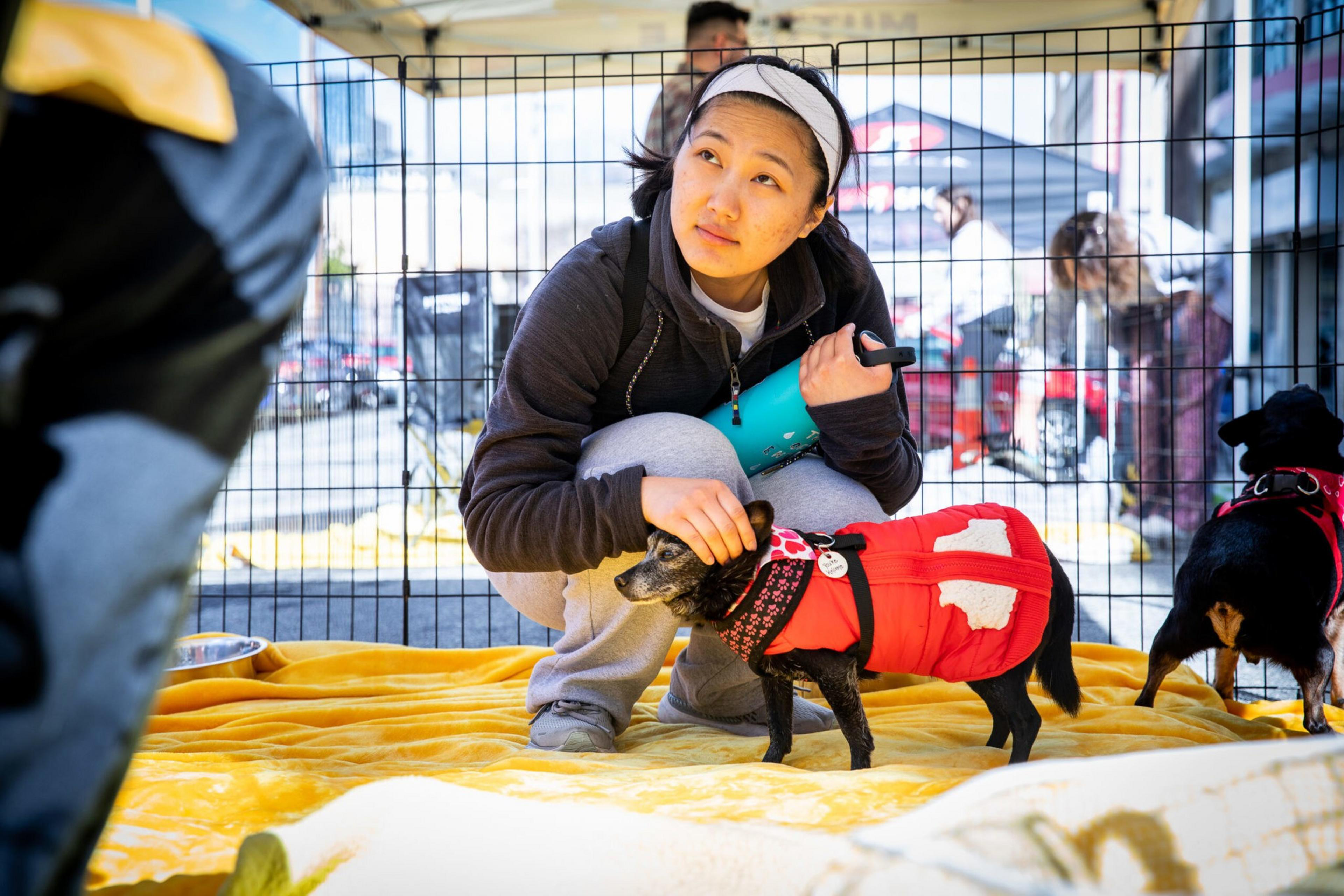 A woman crouches inside a fenced area, petting a small black dog wearing a red jacket, while another dog also in red stands nearby.