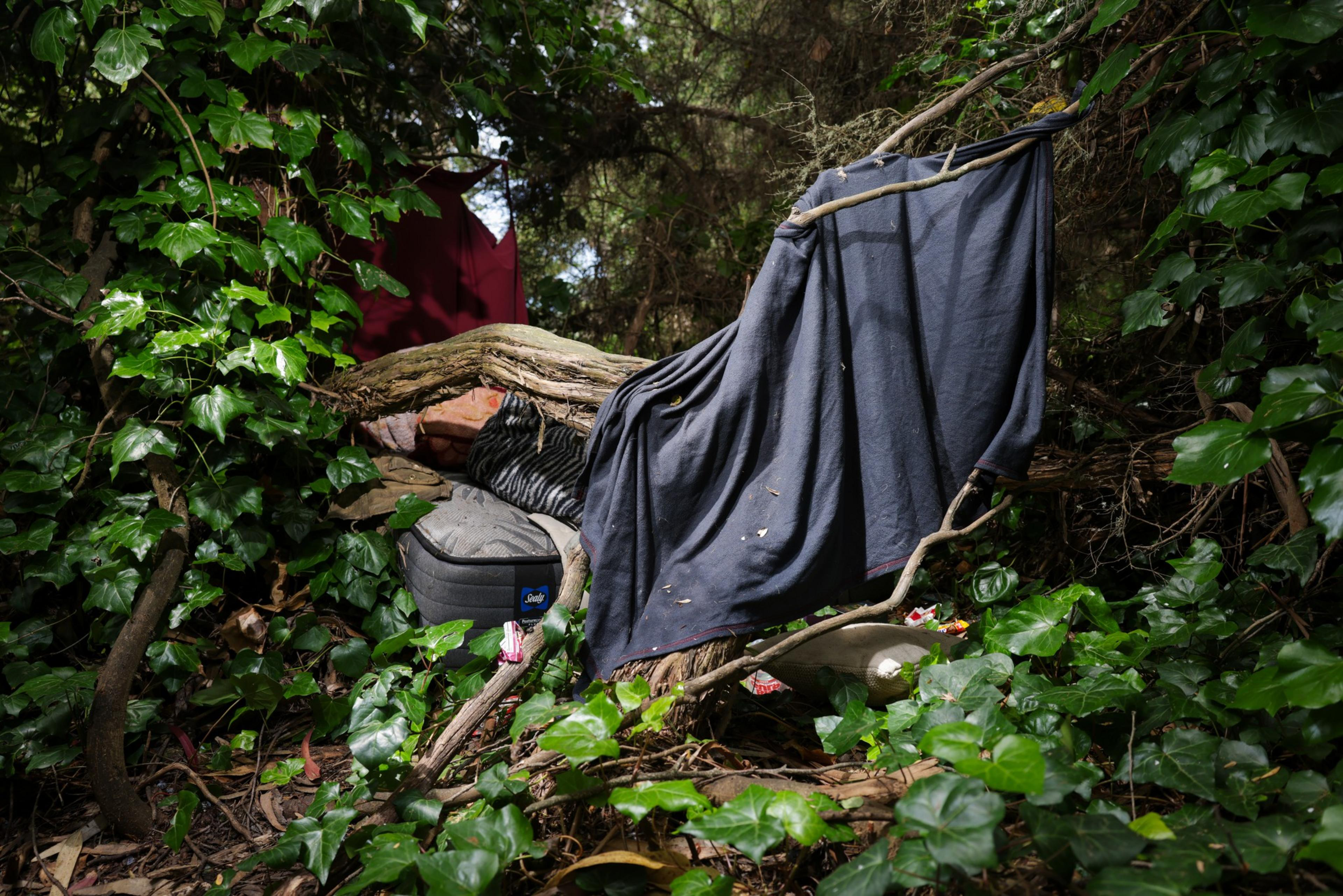 A hidden campsite