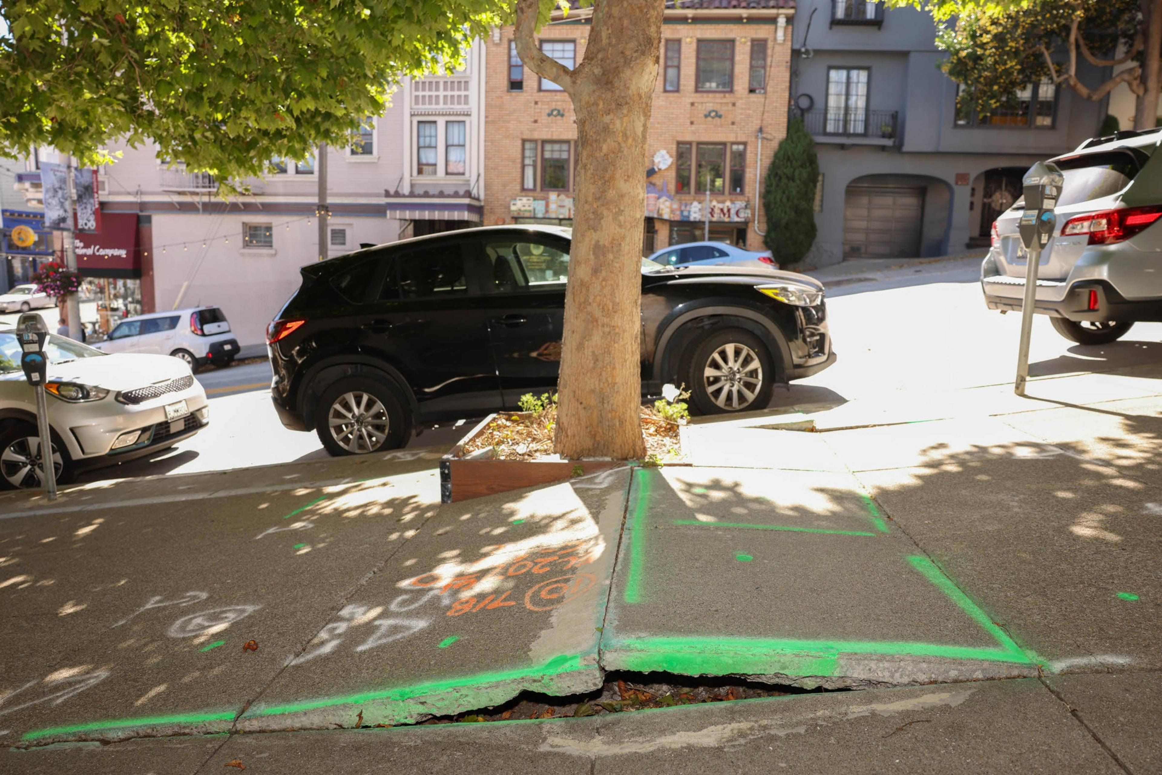 A damaged sidewalk with a tree and three parked cars. The concrete is cracked and marked with green and orange paint. The street is on a noticeable slope.