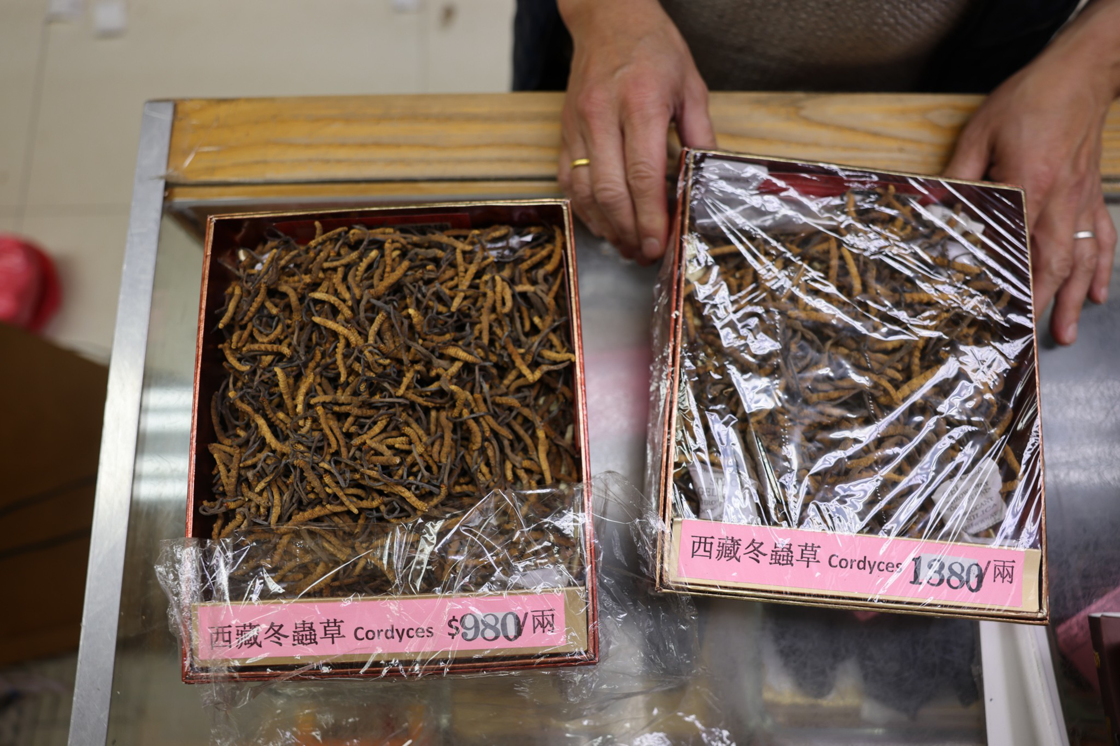Two boxes of dried cordyceps are displayed on a counter, one priced at $980 and the other at $1380, with a person’s hands nearby.