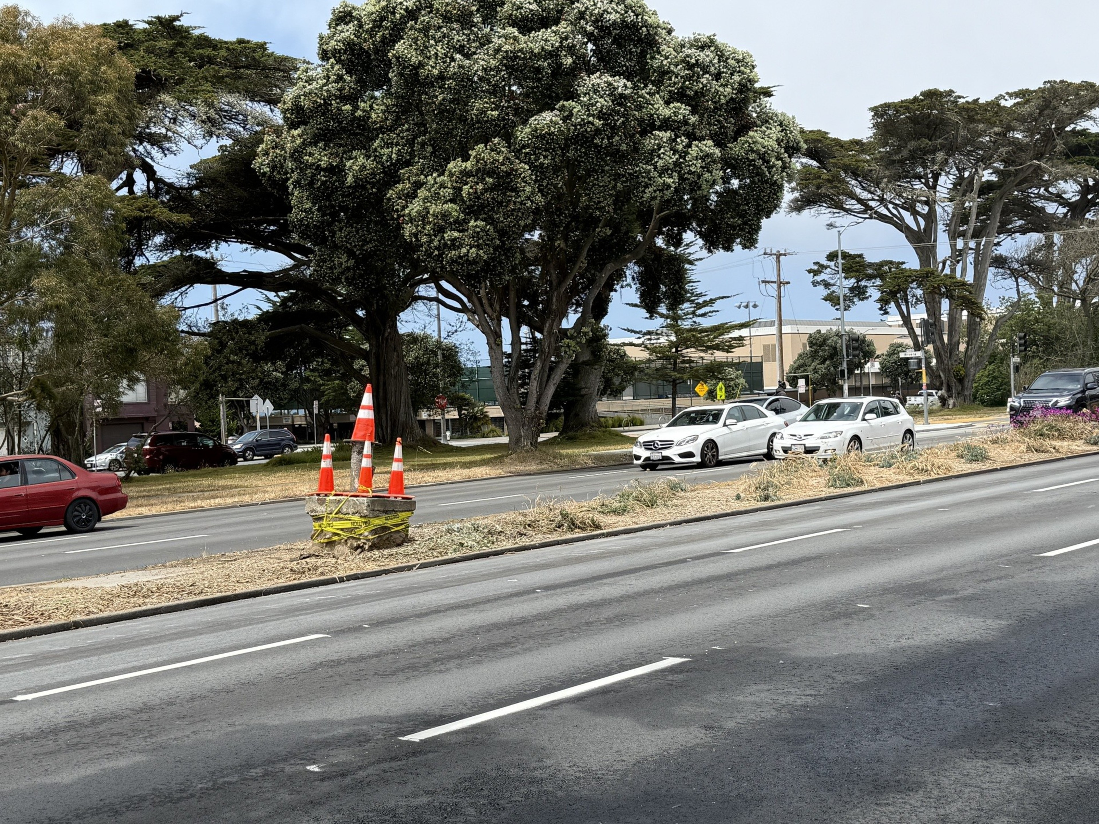 The image shows a road with cars moving in both directions. Large trees line the background, with some traffic cones placed on an island in the middle.