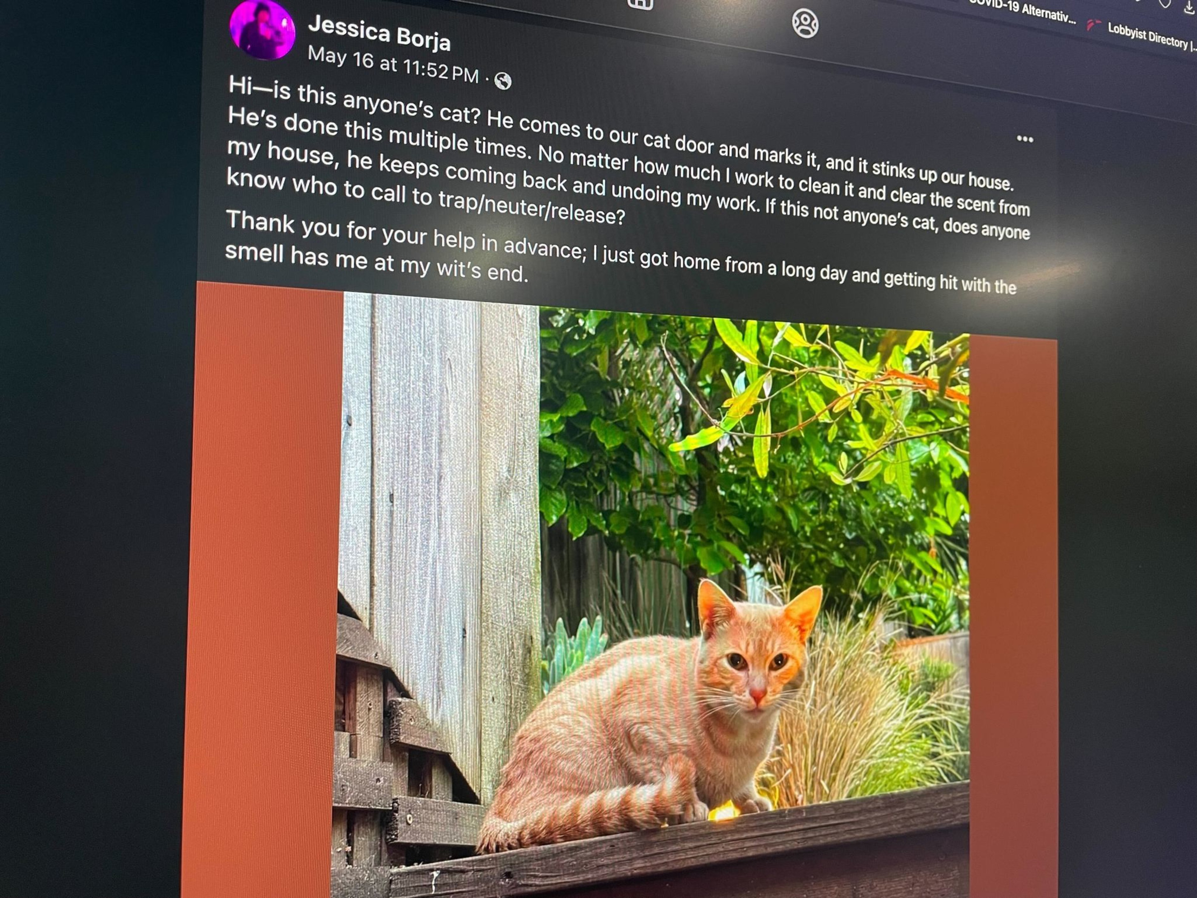 A Facebook post is seen in a photo.