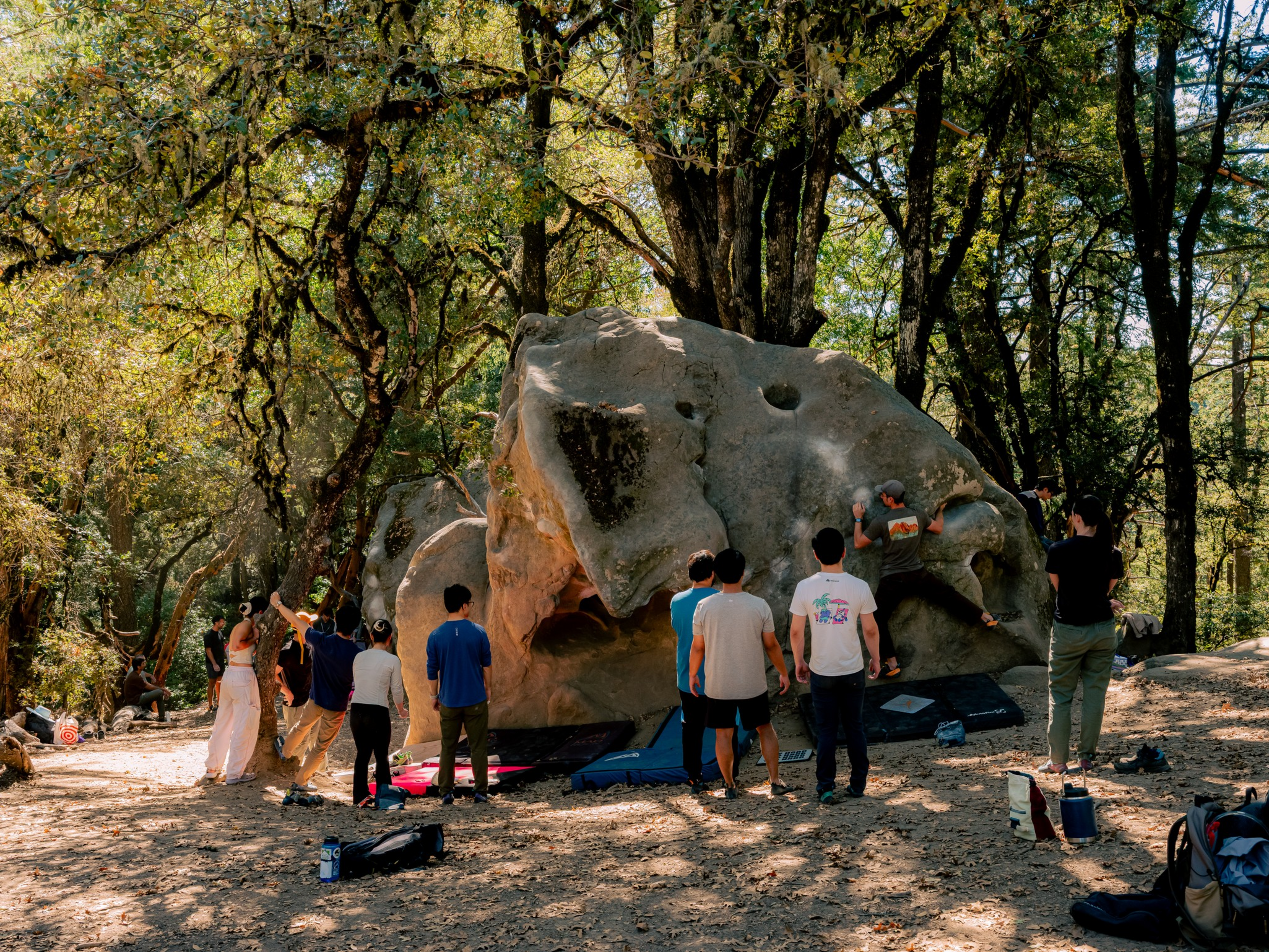 A group of people watches one person rock climbing on a large boulder in a forested area with sunlight filtering through the trees.