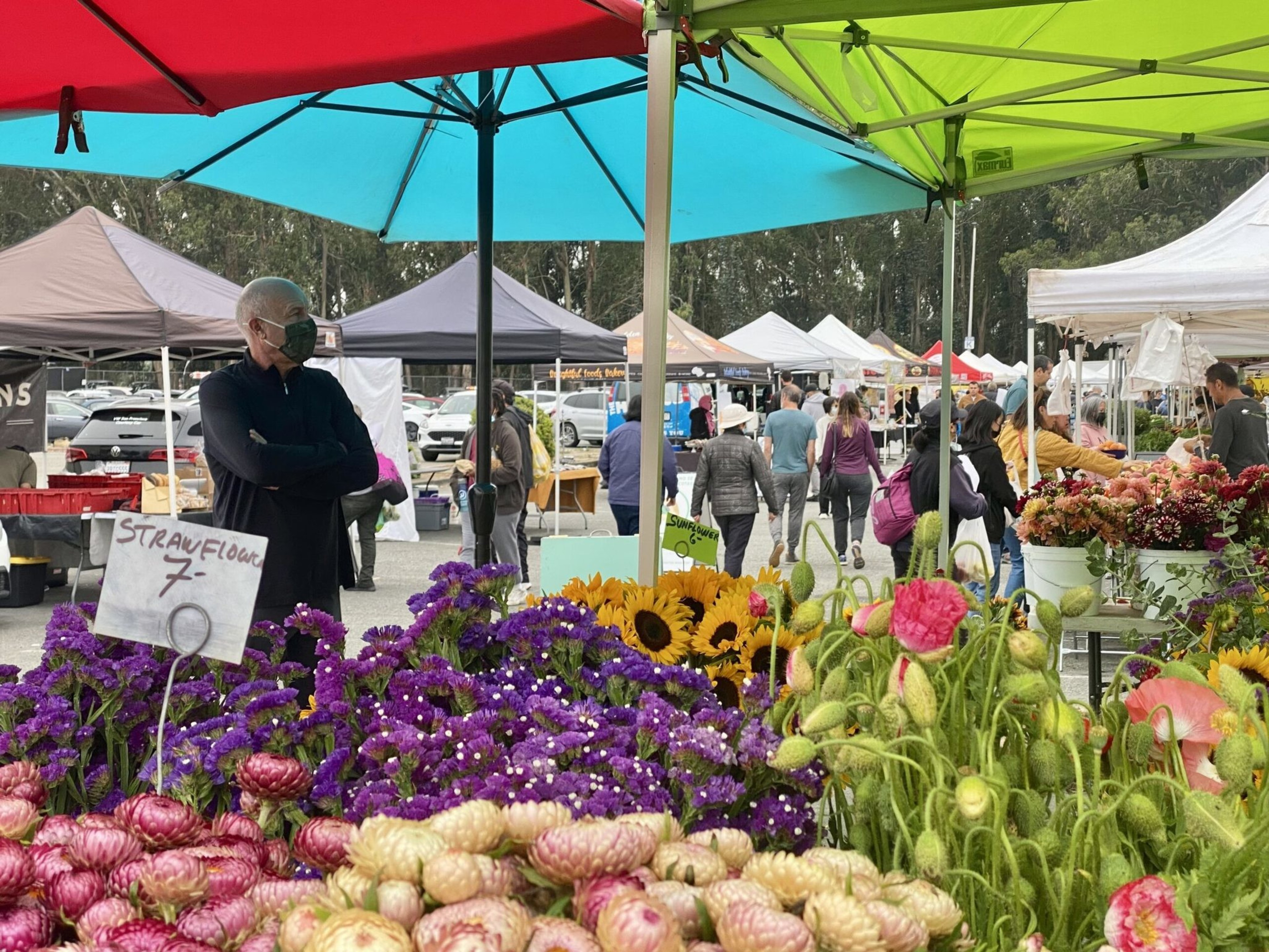 Colorful flowers including purple statice, pink and cream strawflowers, and sunflowers are displayed at a busy outdoor market with shoppers and tents.