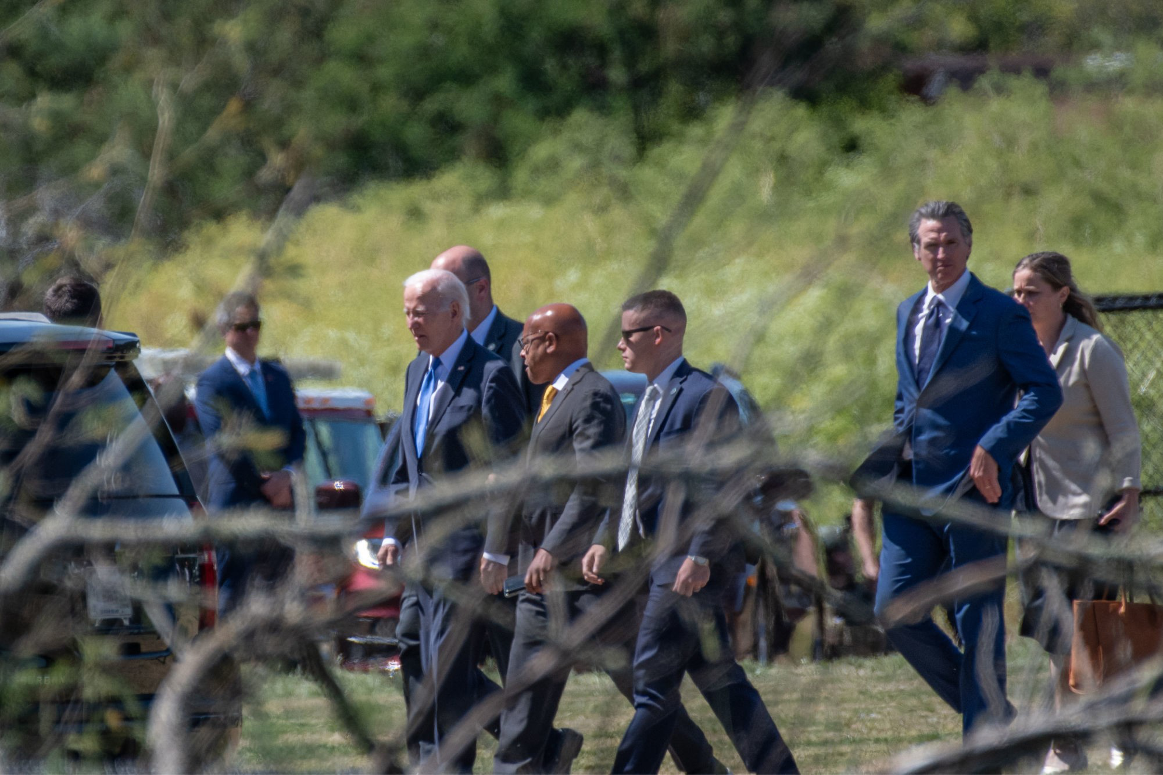 A group of people in formal attire walk outdoors through a grassy area with branches and vehicles in the background.