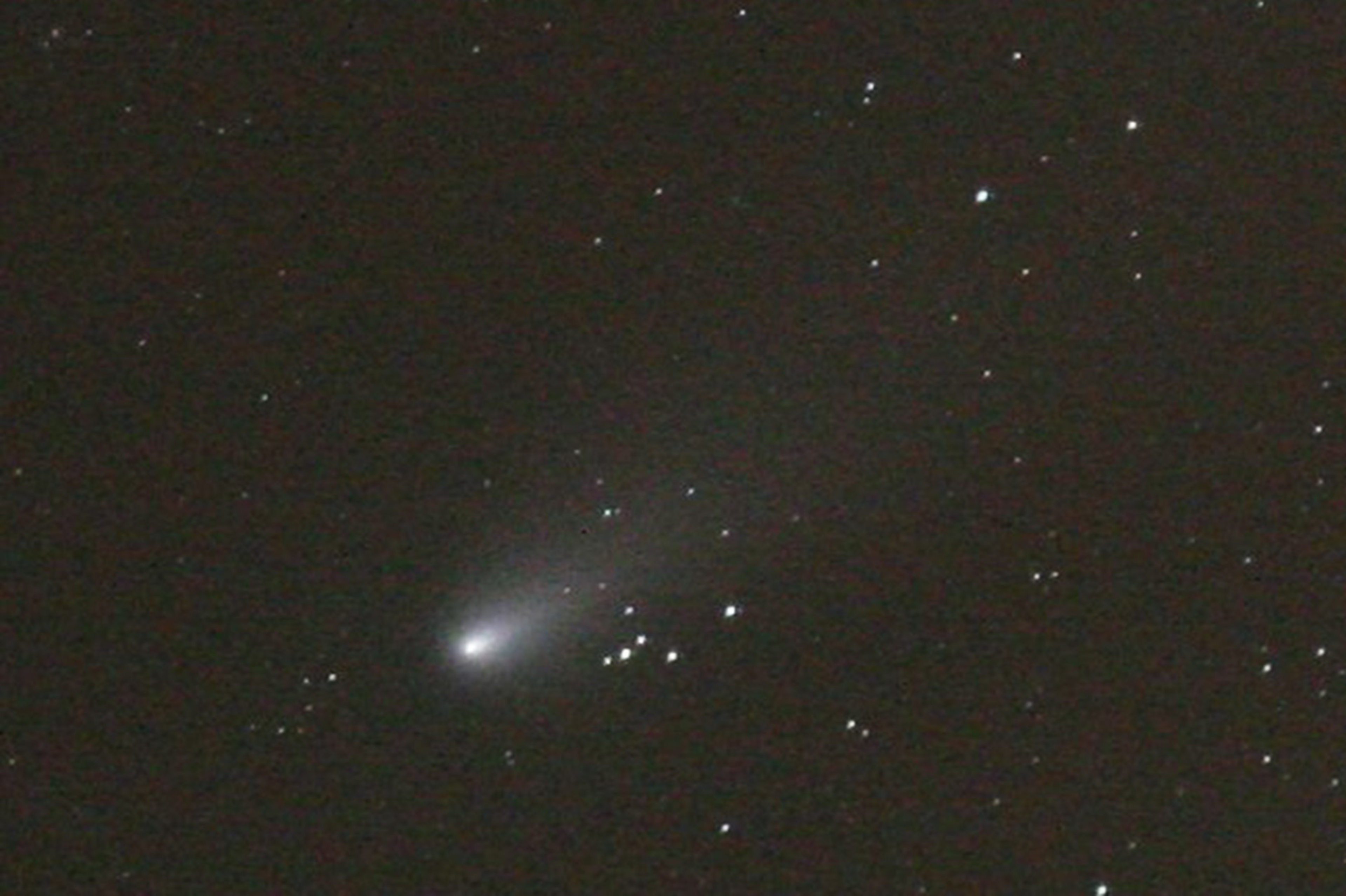 A bright comet with a glowing core and faint tail appears among numerous small white stars scattered across a dark night sky.