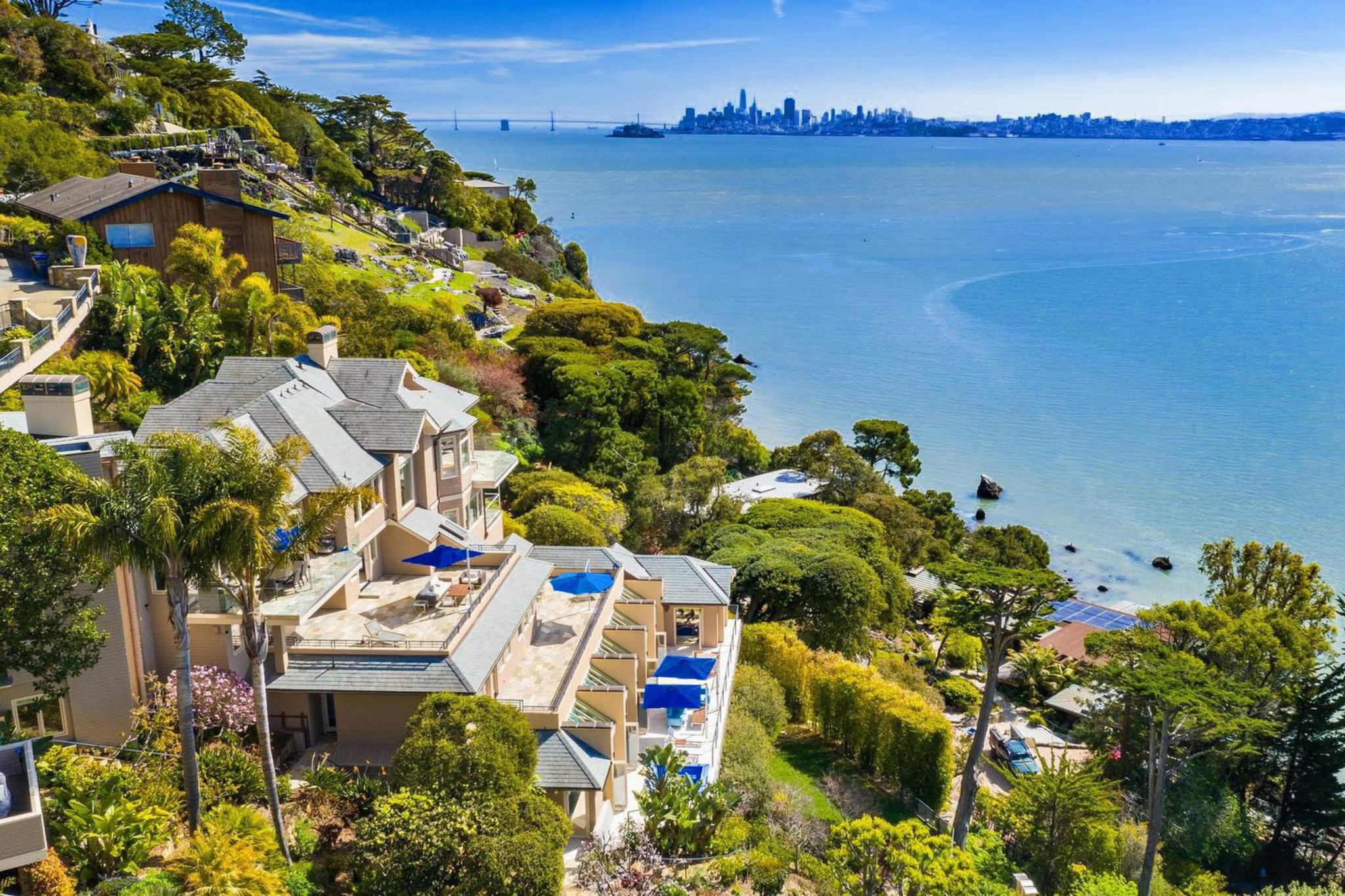 A hillside with houses, lush greenery, and palm trees overlooks a large body of water with a city skyline and bridge in the distance under a clear blue sky.