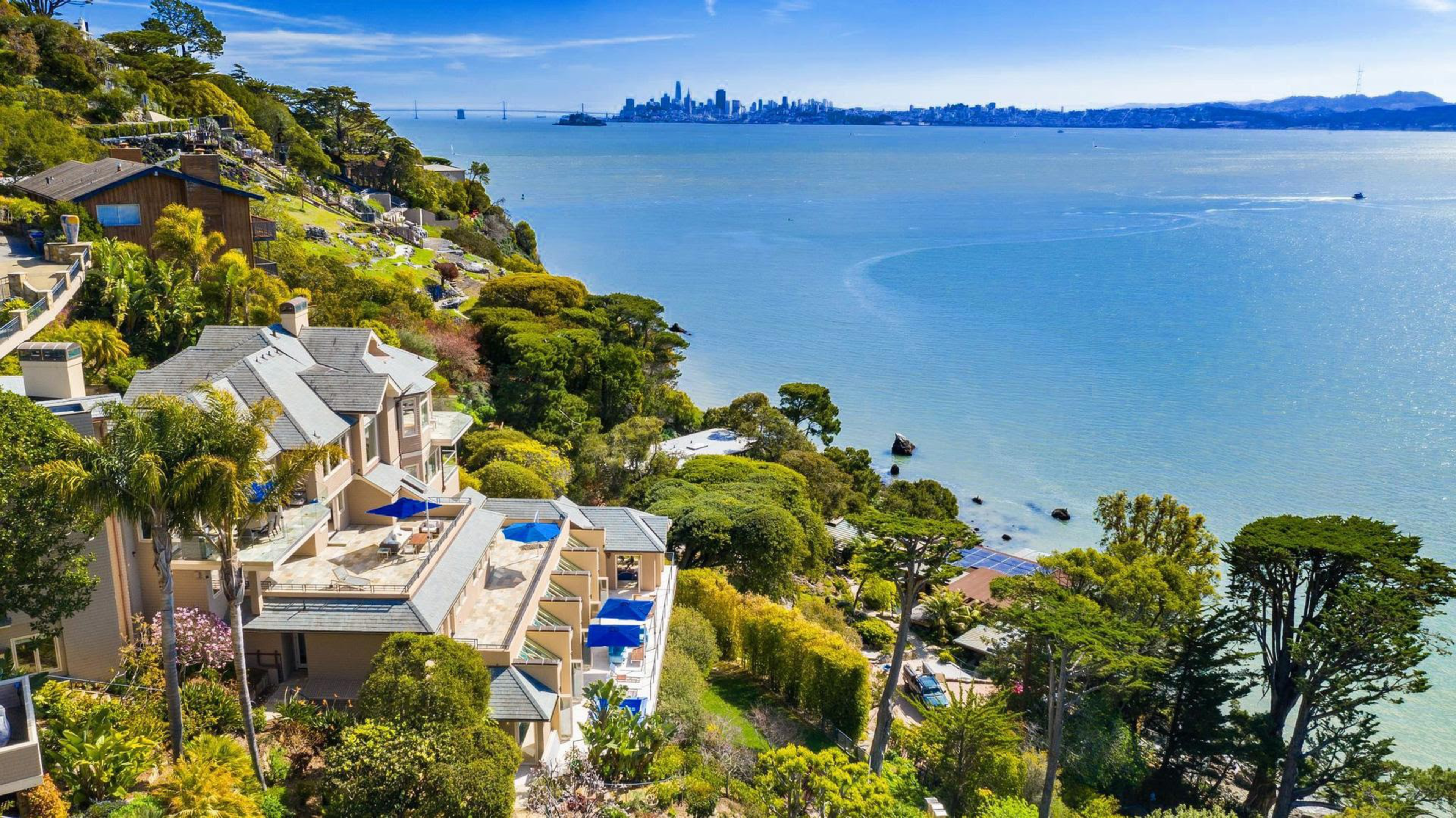 A hillside with houses, lush greenery, and palm trees overlooks a large body of water with a city skyline and bridge in the distance under a clear blue sky.