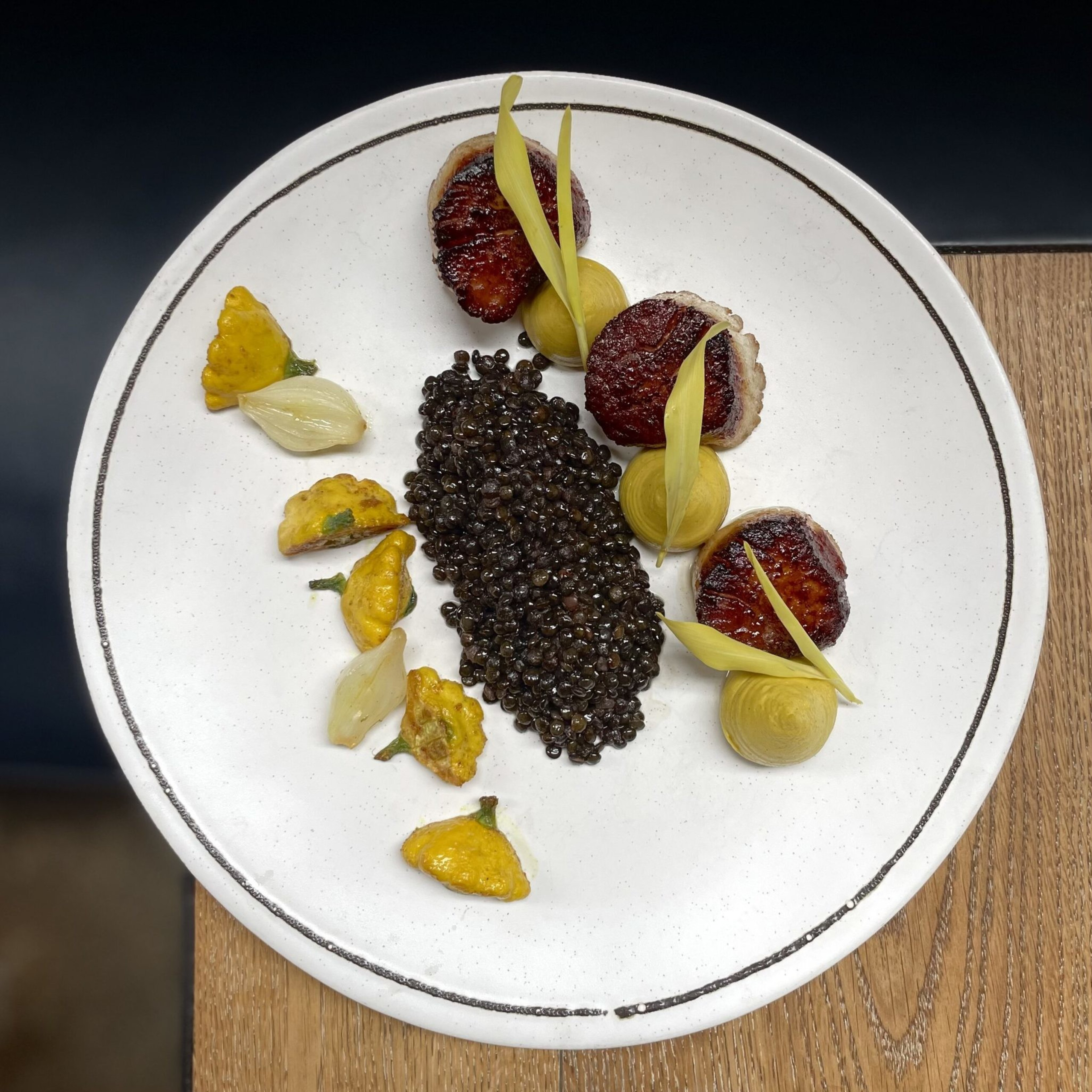 Seared scallops arranged with curled yellow vegetable pieces, dark lentils in the center, and small roasted squash on a white plate with a black rim.
