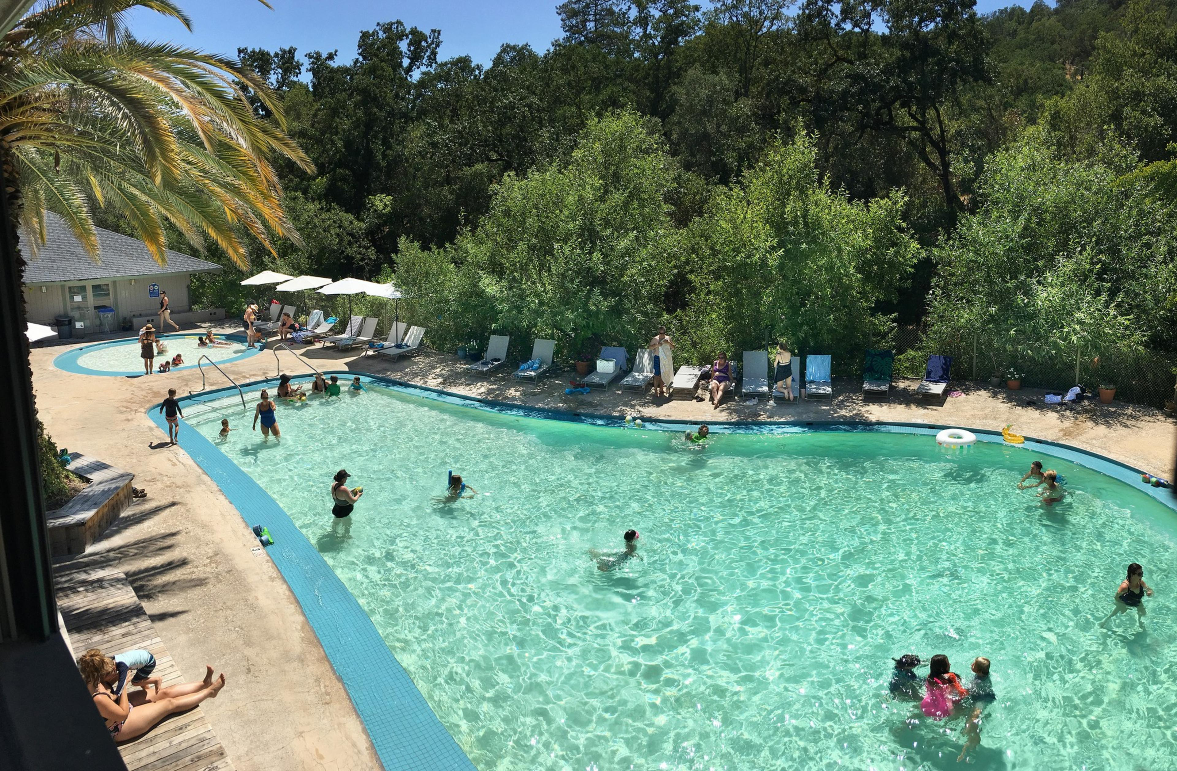 A clear pool surrounded by trees and lounge chairs, with people swimming and sunbathing under a sunny sky. There's a smaller pool nearby and a building in the background.