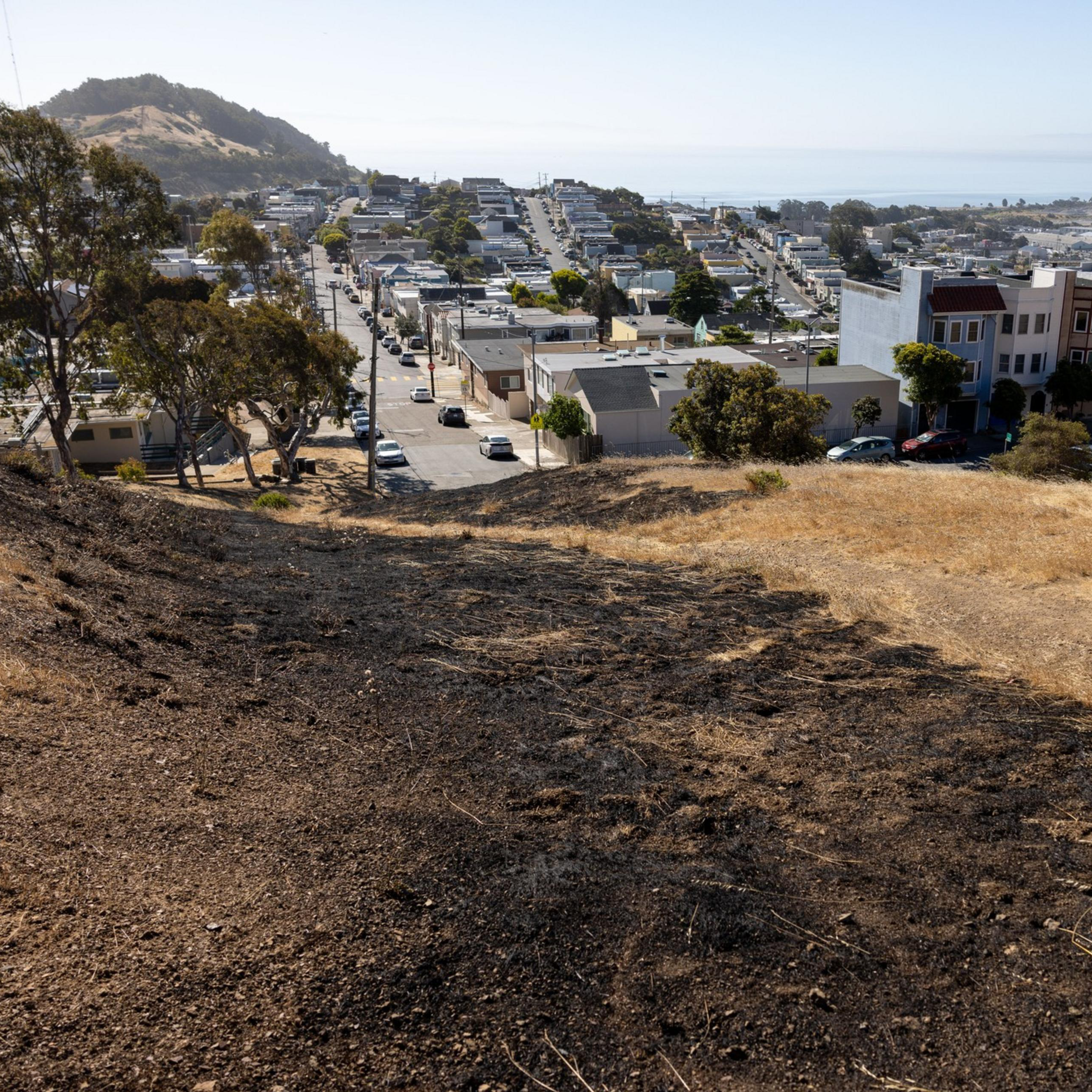 The image shows a hillside with dry grass and patches of charred ground, leading down to a suburban area with houses, trees, and distant views of water and mountains.