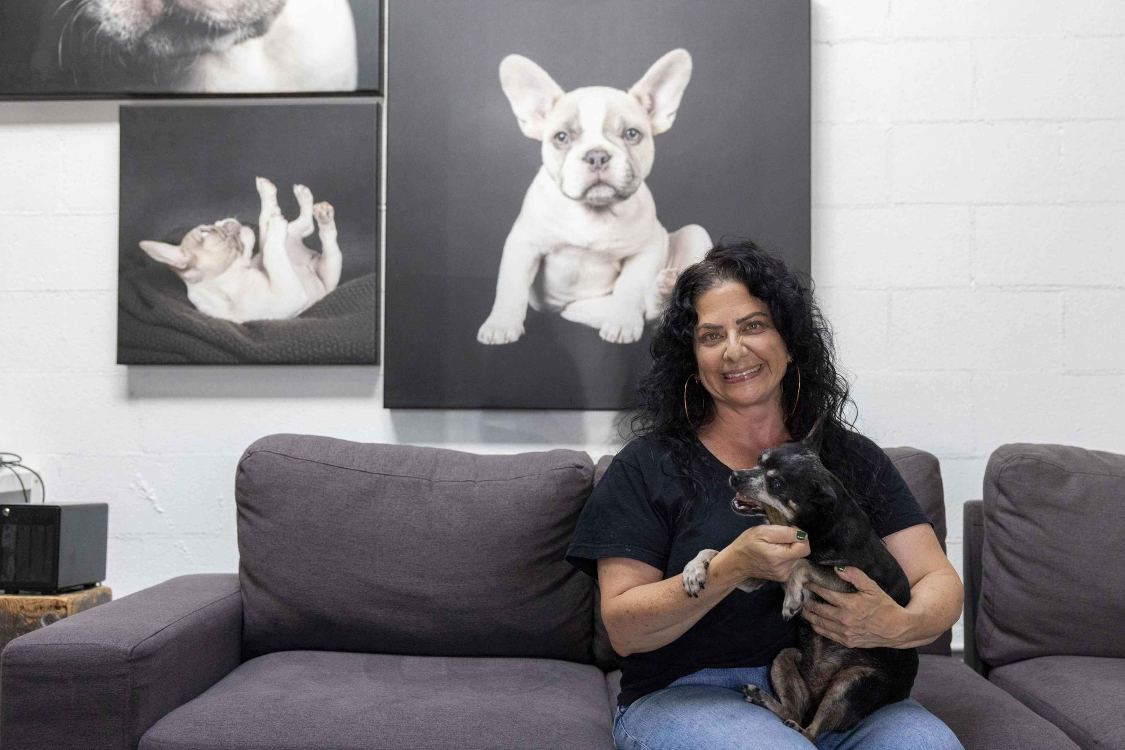 A woman with curly black hair smiles while sitting on a gray couch, holding a small black and brown dog. Behind her, there are large photos of French Bulldogs on the wall.