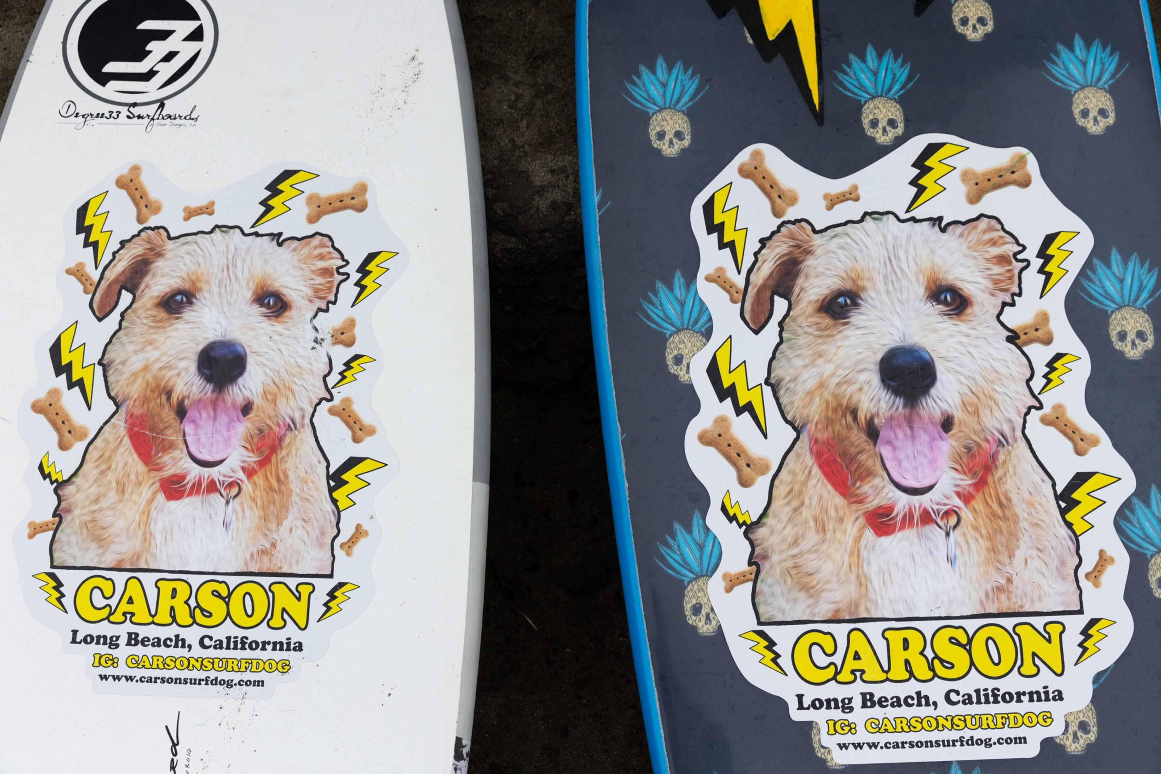 The image shows two surfboards featuring stickers of a happy, fluffy dog named Carson, surrounded by lightning bolts and dog bones. Text mentions Long Beach, California.