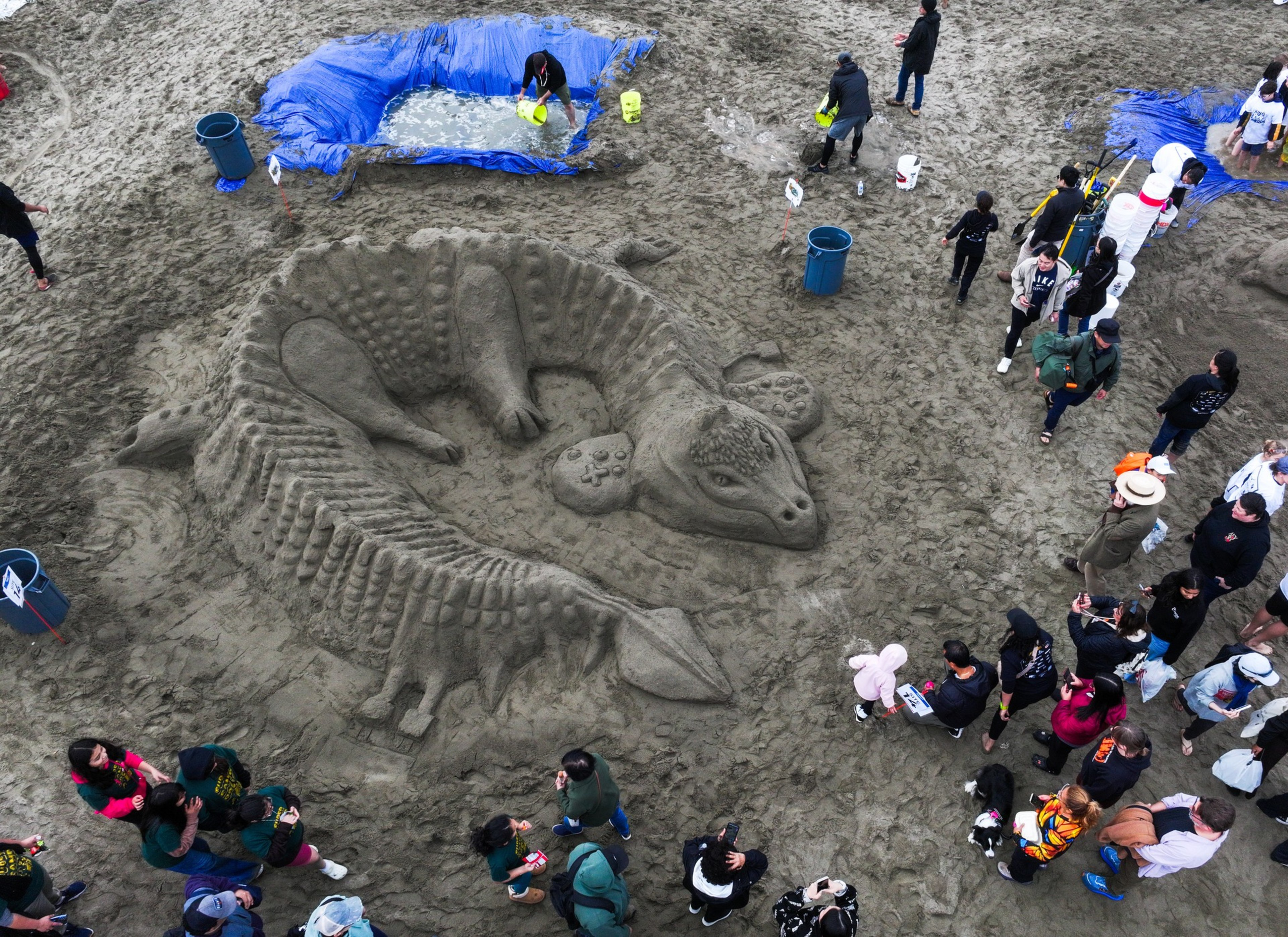A large sand sculpture of a curled-up dinosaur surrounded by people on a beach, with buckets and blue tarps nearby.