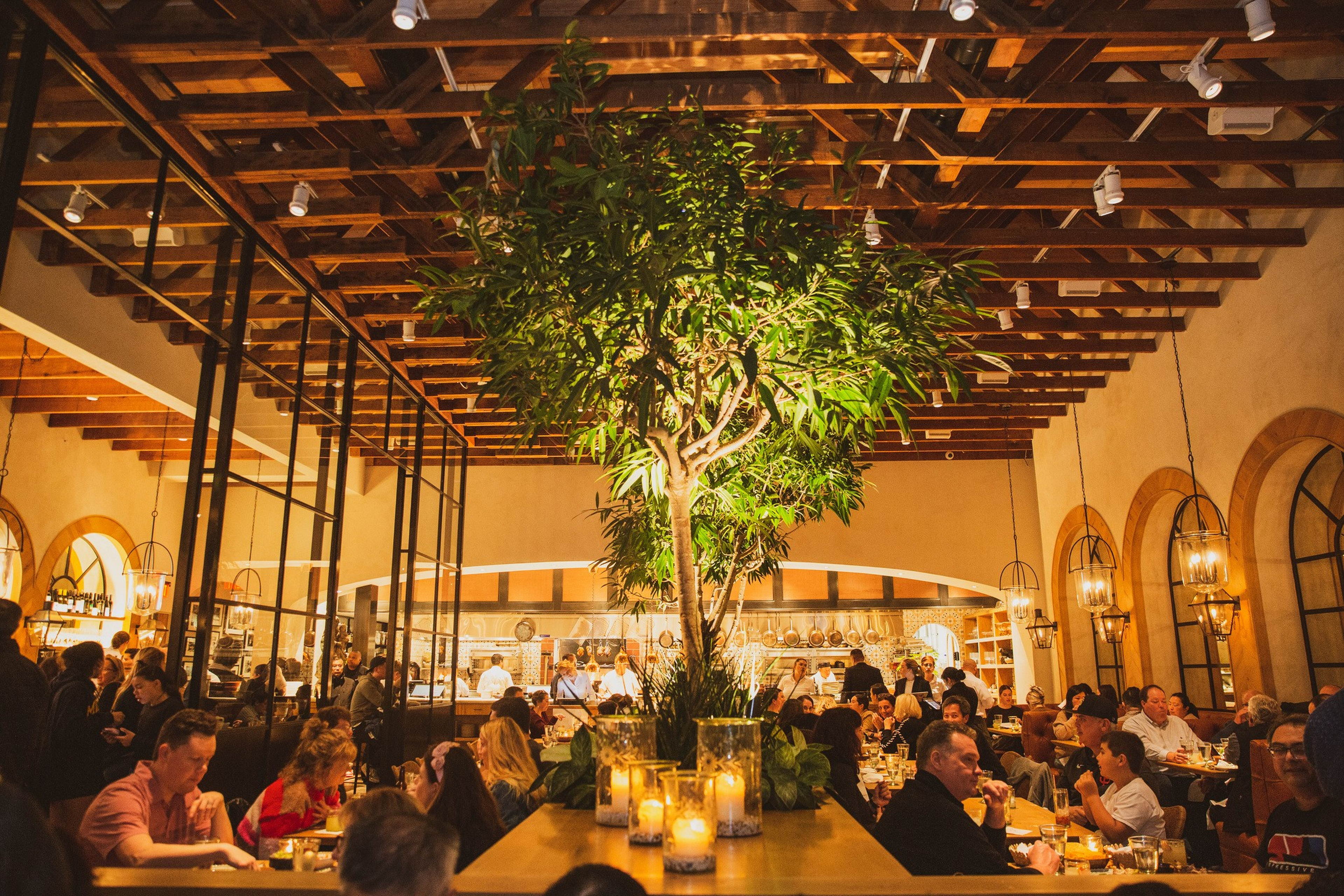 A bustling restaurant interior features warm lighting, a large leafy tree centerpiece, wooden beams, and many diners enjoying meals at various tables.