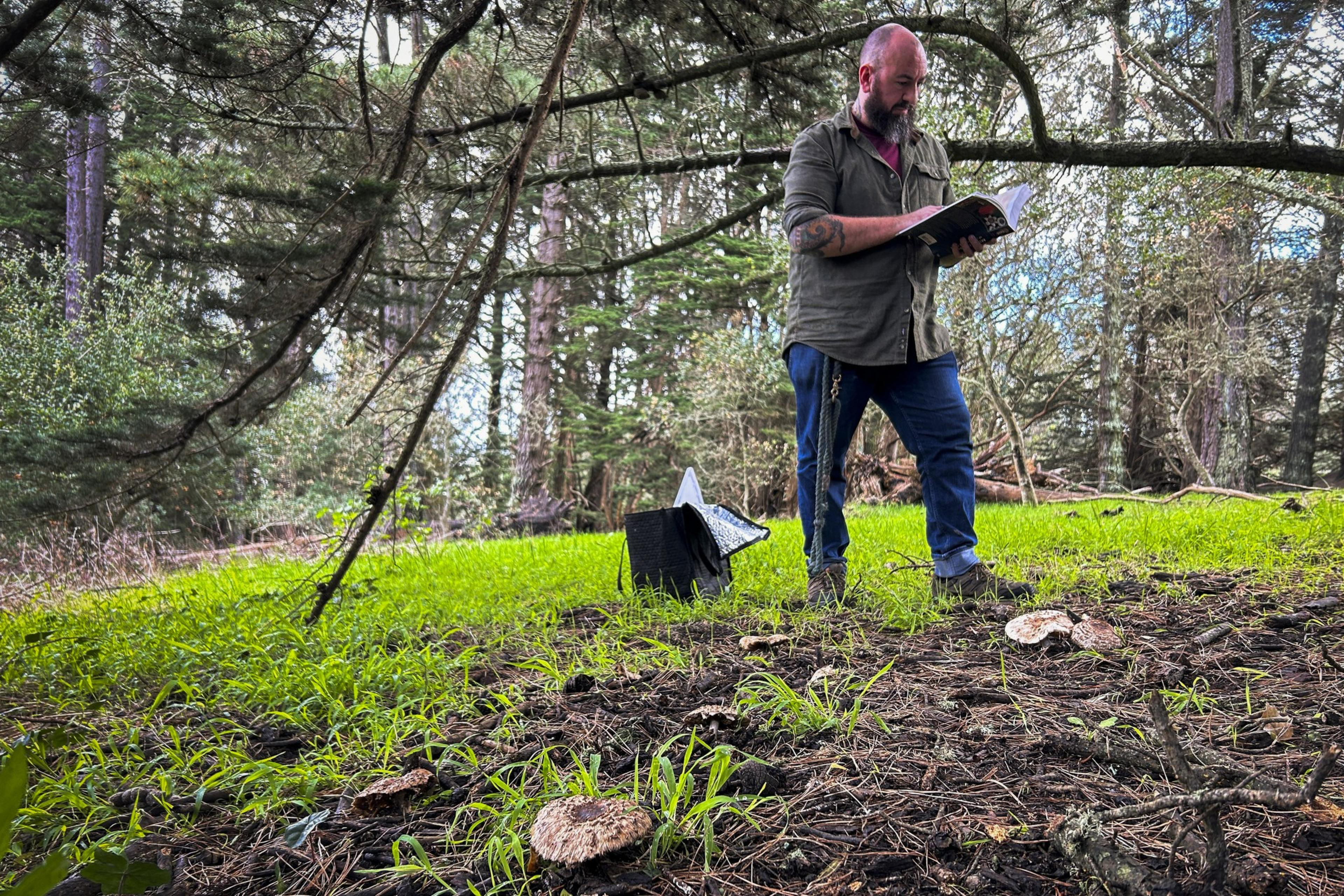 a bearded white middle-aged man in jeans and a red cap leafs through a book in the woods, with a bag to his left and mushrooms growing in the foreground