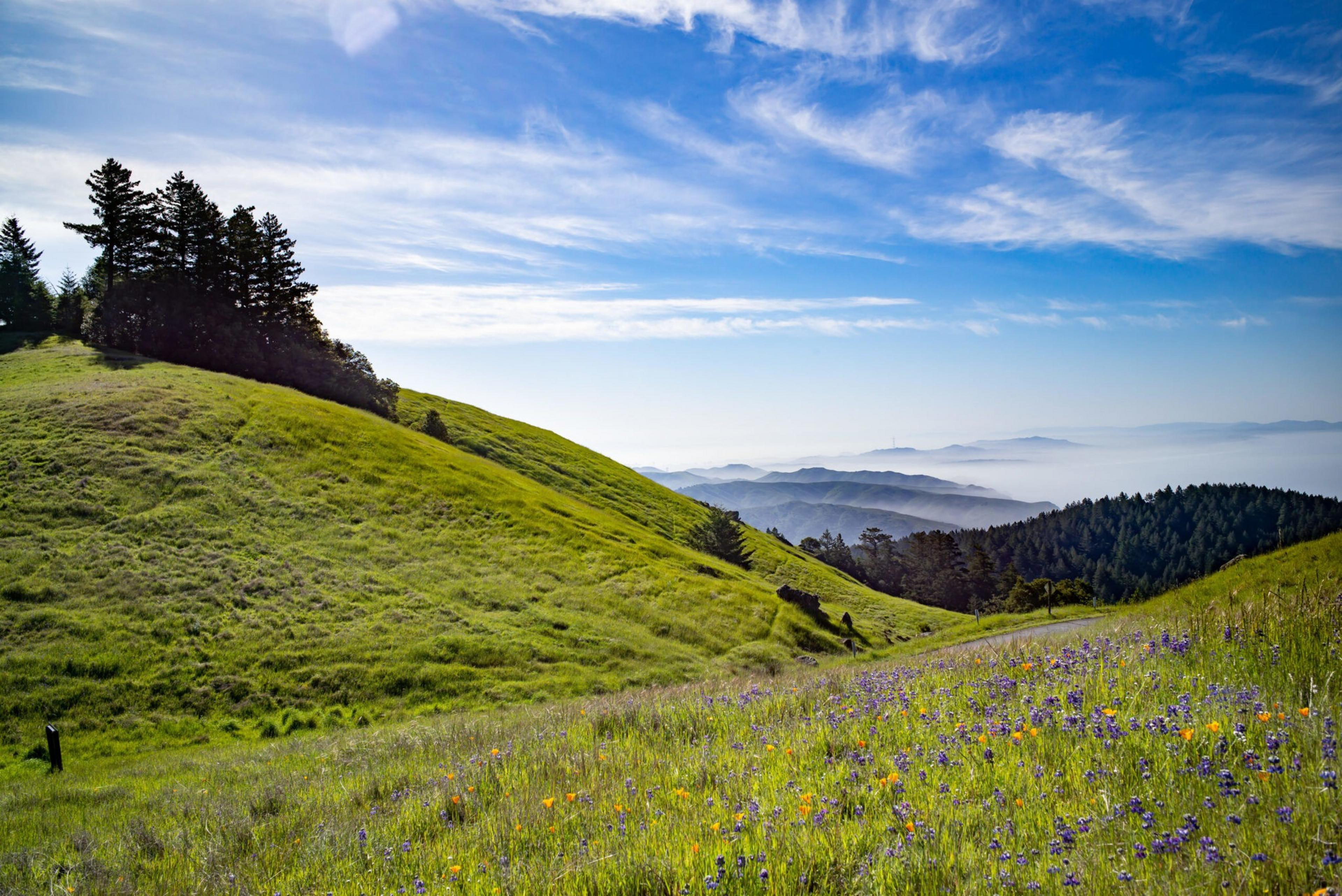A view from the hike.