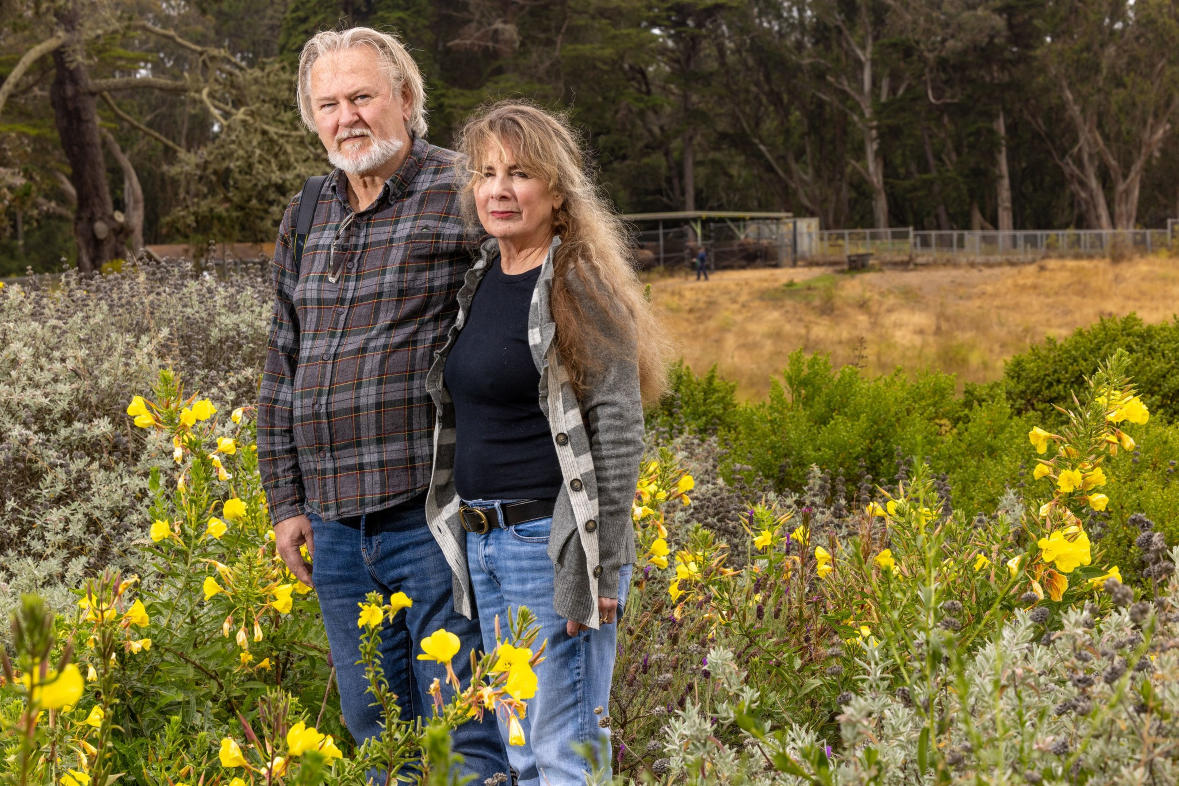 A man and a woman stand side by side in a lush garden filled with yellow flowers, with a backdrop of tall trees and a fenced area in the distance.
