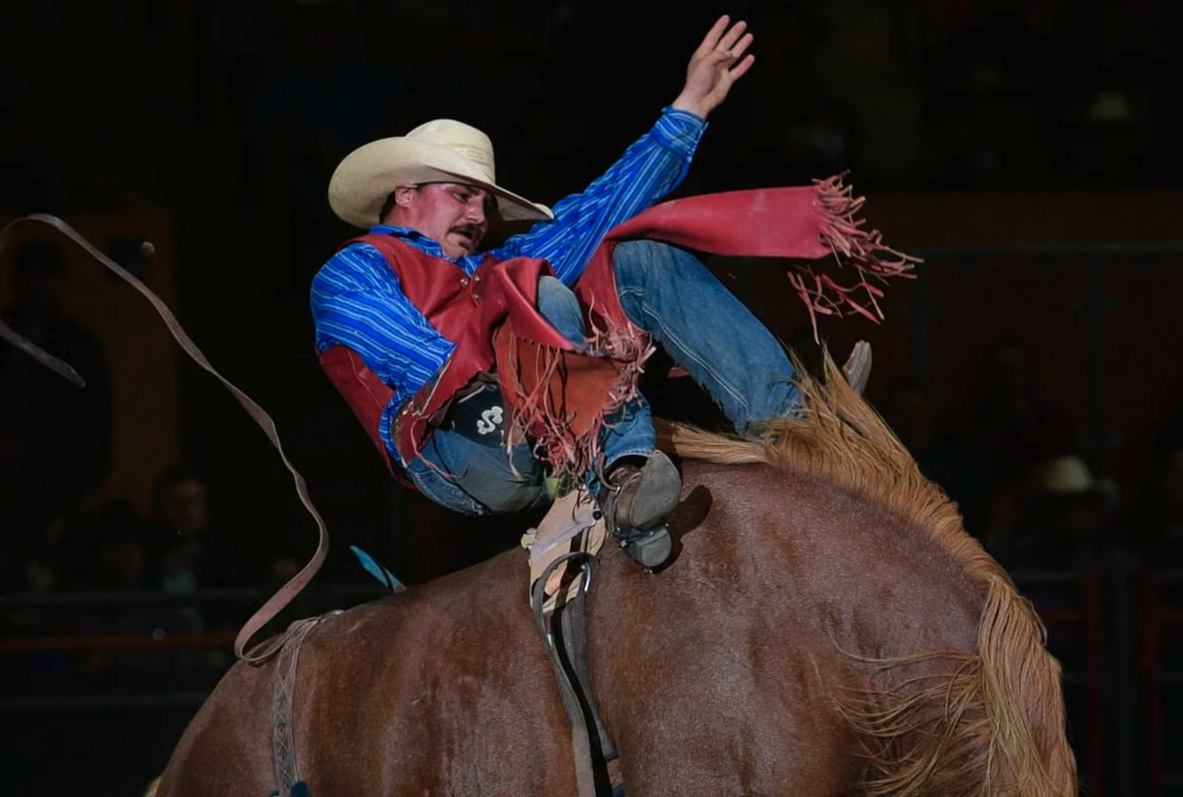 A rodeo cowboy in a blue shirt and red chaps is riding a bucking horse, holding on with one hand raised. He's wearing a cowboy hat and focused on staying on.