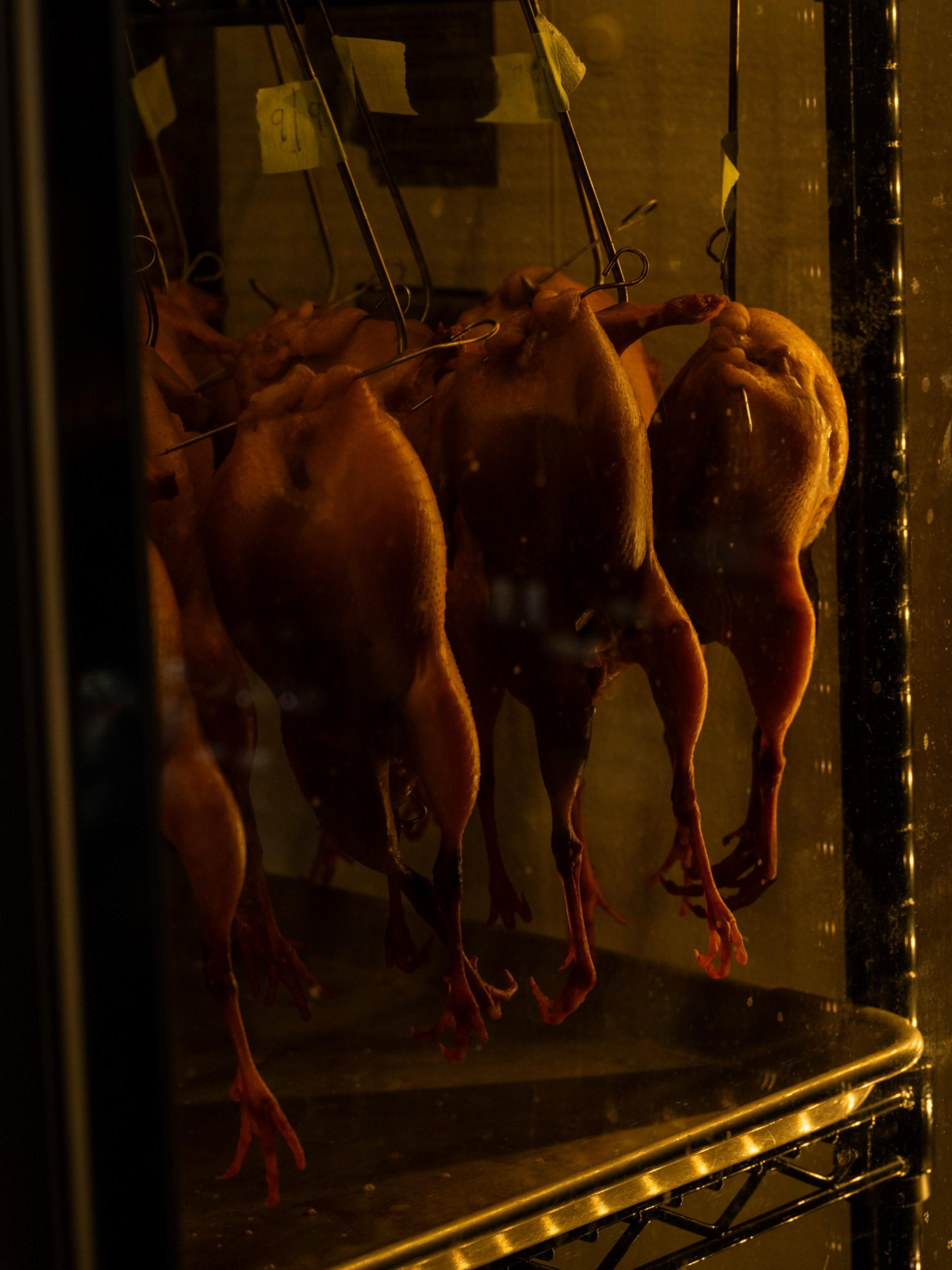 Several whole roasted ducks hang inside a dimly lit glass display case by metal hooks through their necks.