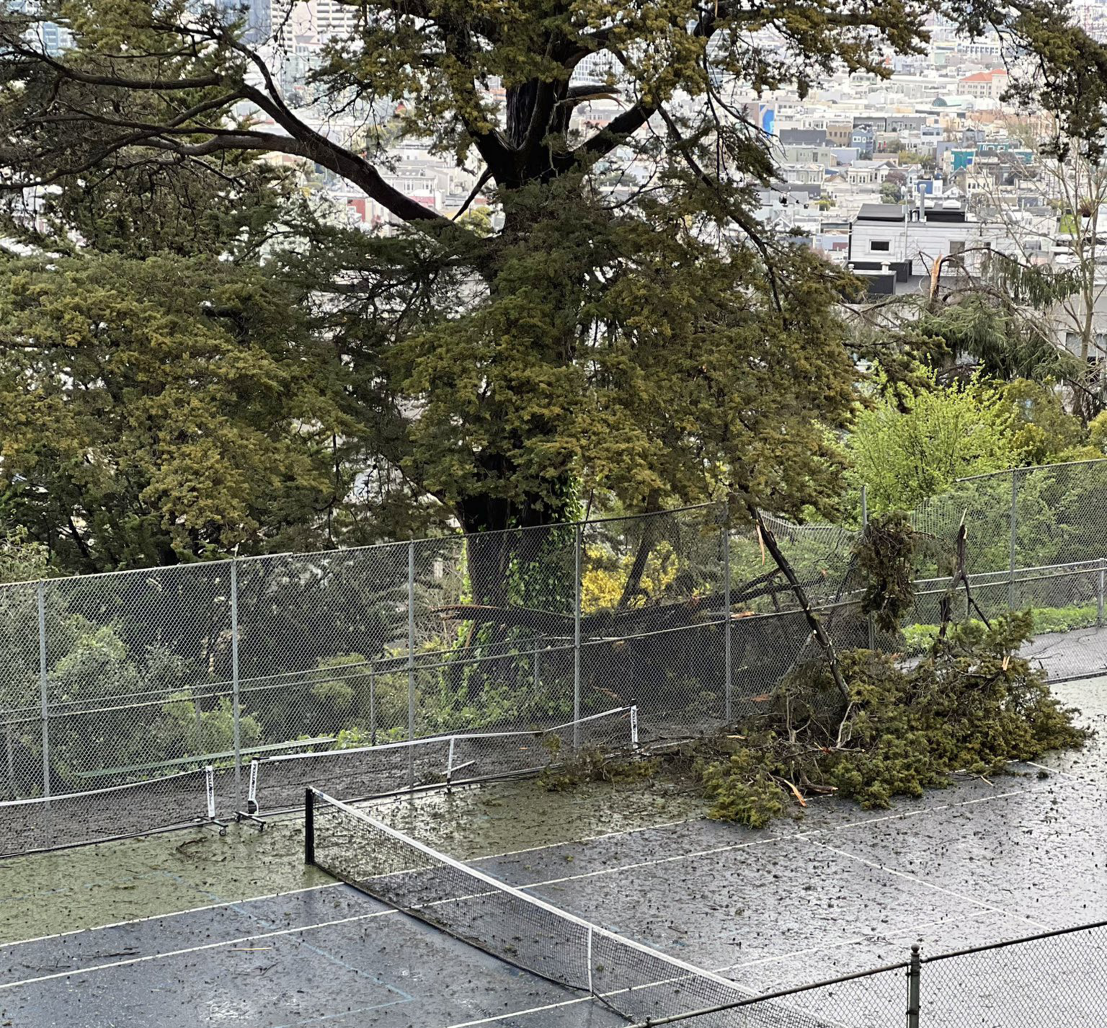 A tennis court covered in rain and debris, with a large broken tree branch lying across one side, surrounded by a chain-link fence and large trees.