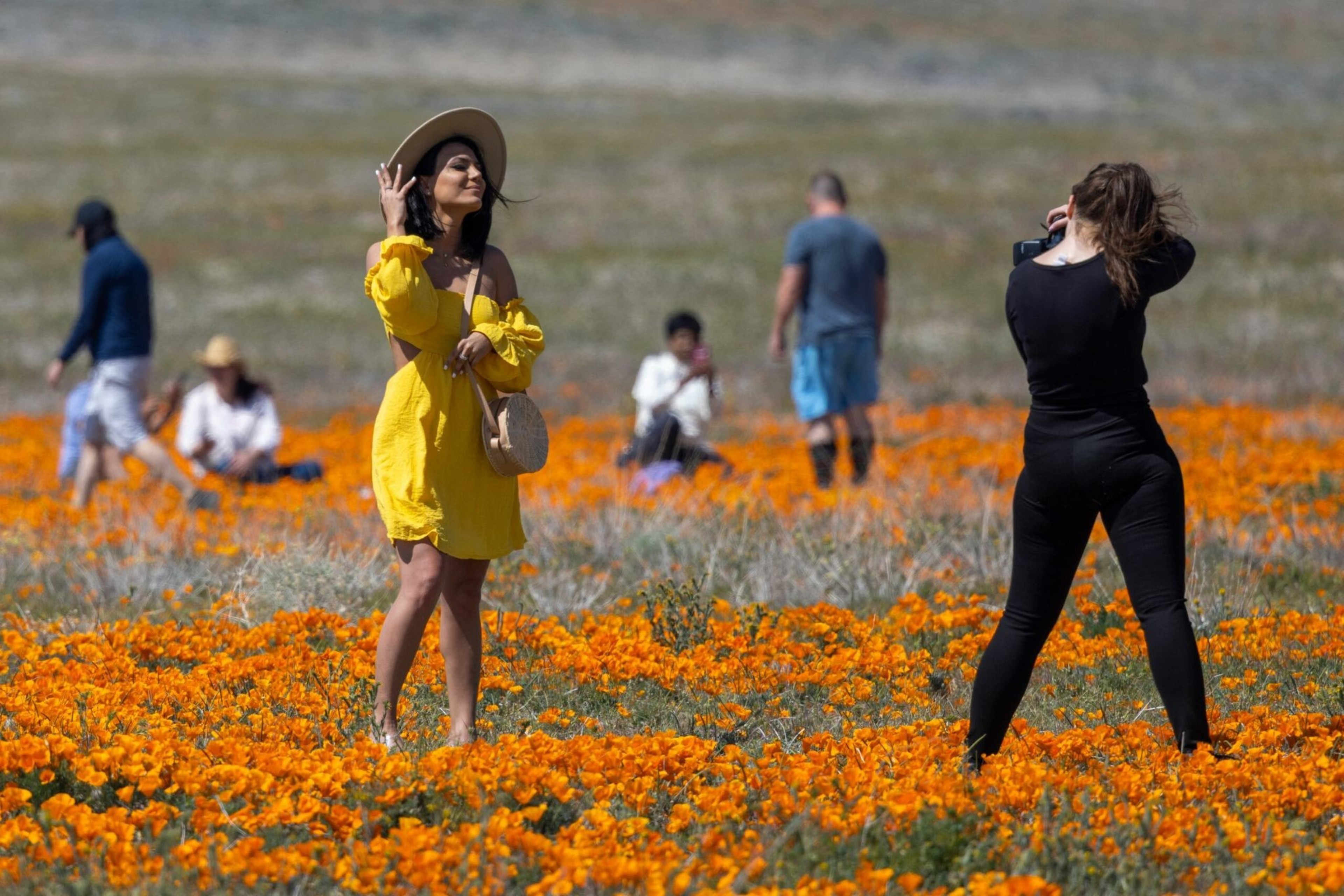 A woman in a yellow dress and hat poses in a field of orange flowers while another woman in black takes her photo, with other people in the background.