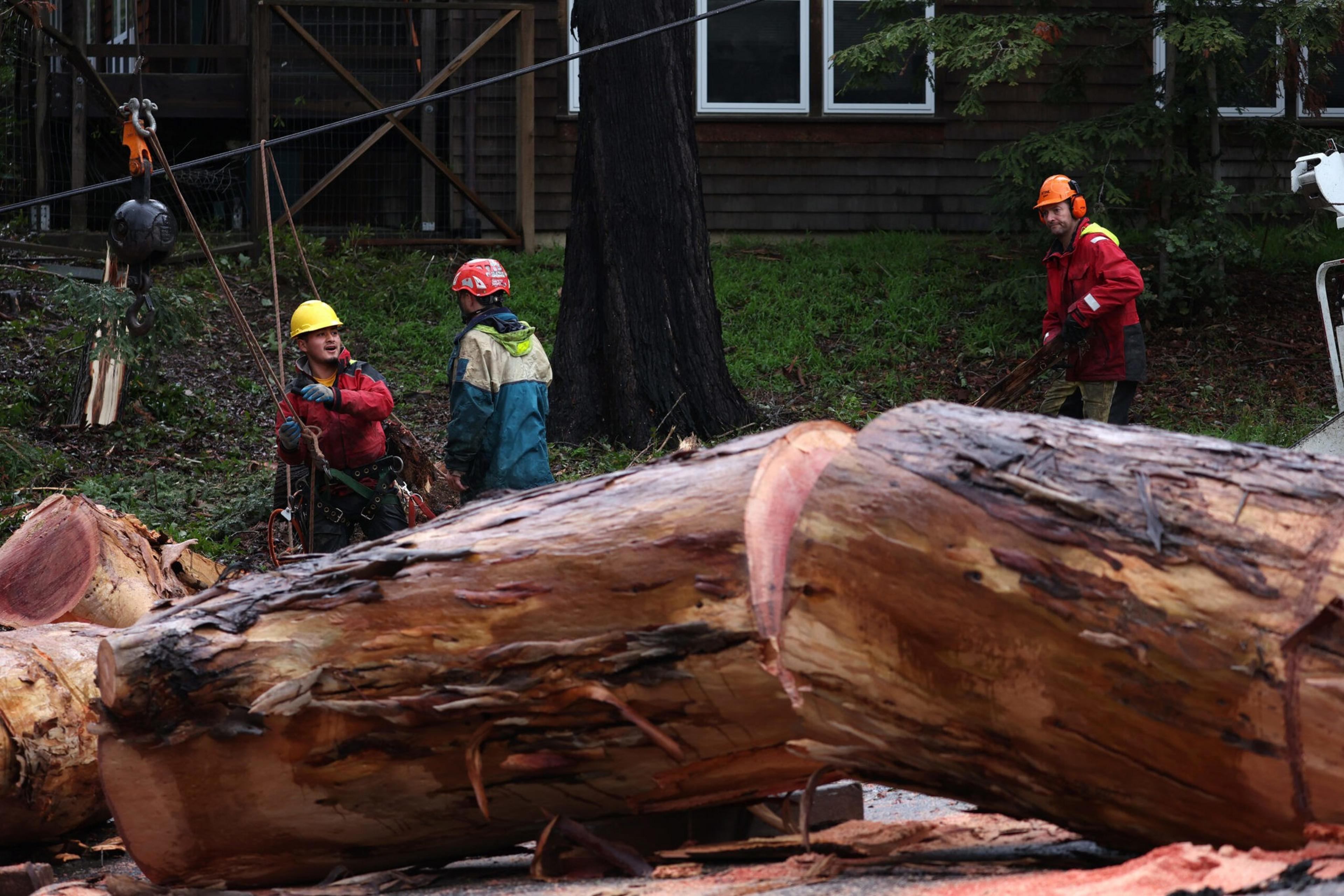 Three workers wearing helmets and safety gear handle ropes near large tree logs in a wooded area beside a house.