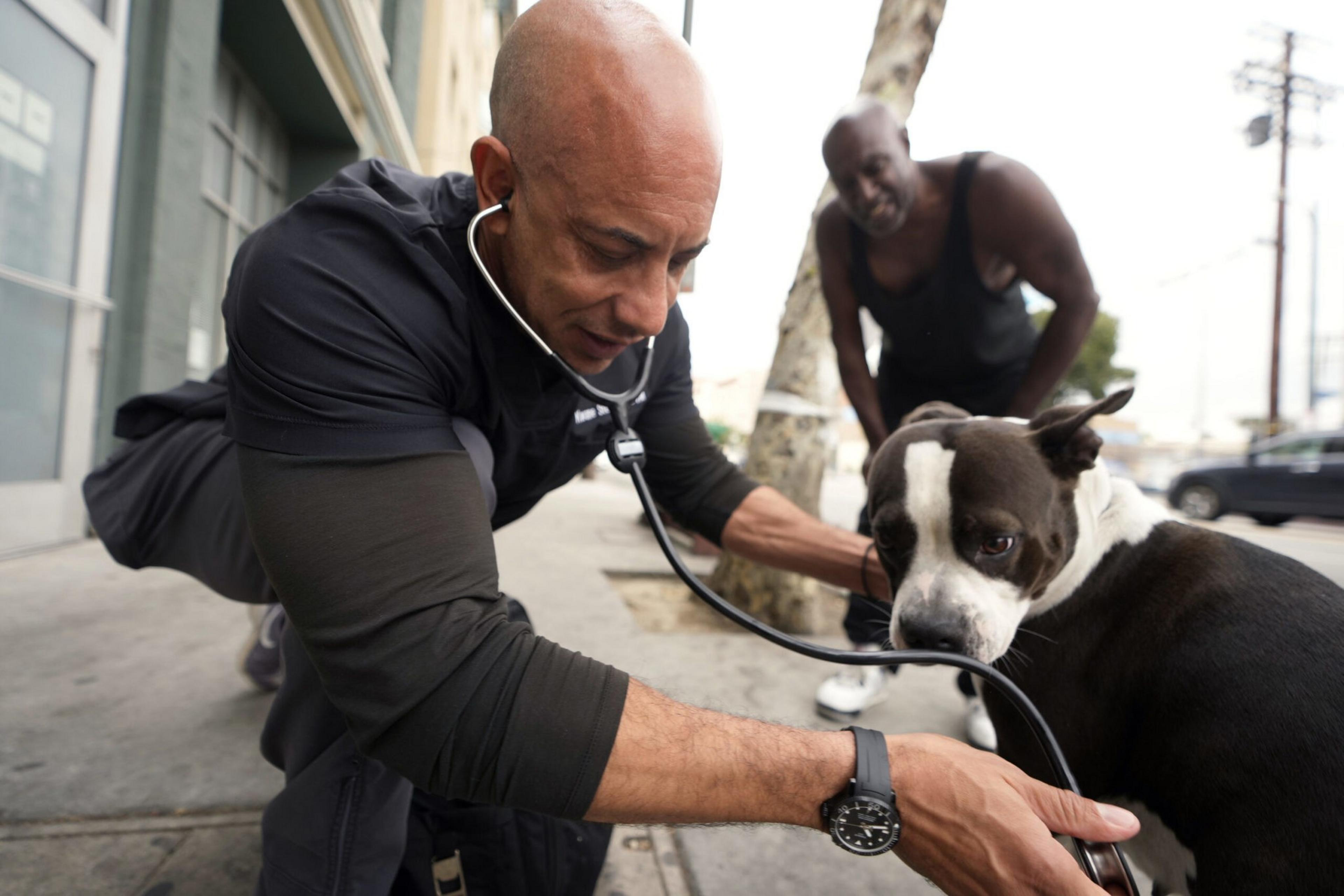 veterinarian treating homeless dog