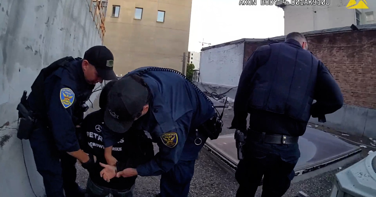 Alleged San Francisco kitten killer caught on rooftop
