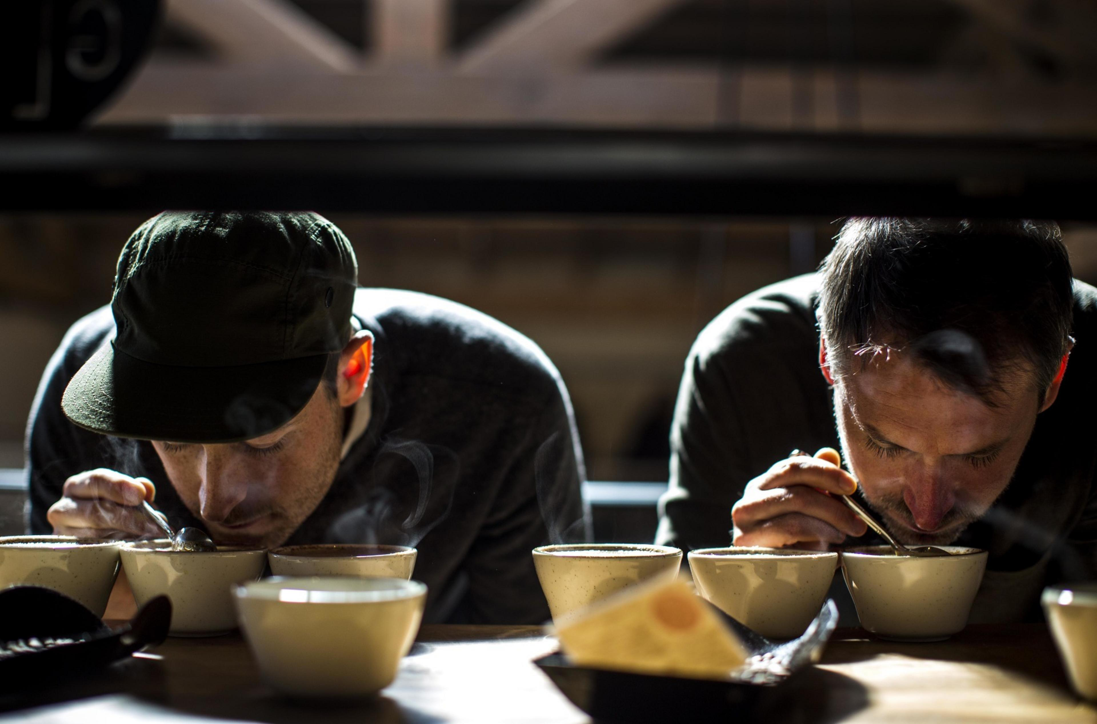 Two men (Justin and Jerad Morrison, the founders of Sightglass Coffee) lean over cups of coffee.