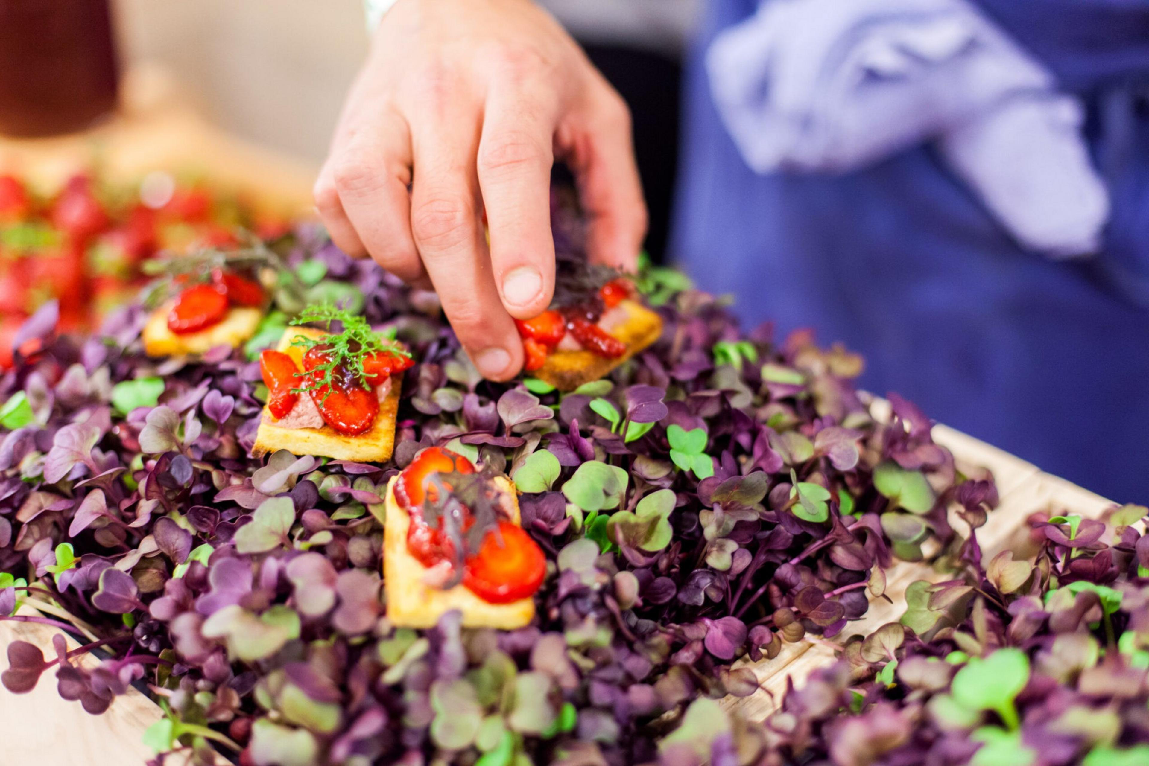 A hand places small appetizers topped with sliced strawberries and herbs on a bed of fresh purple and green microgreens.