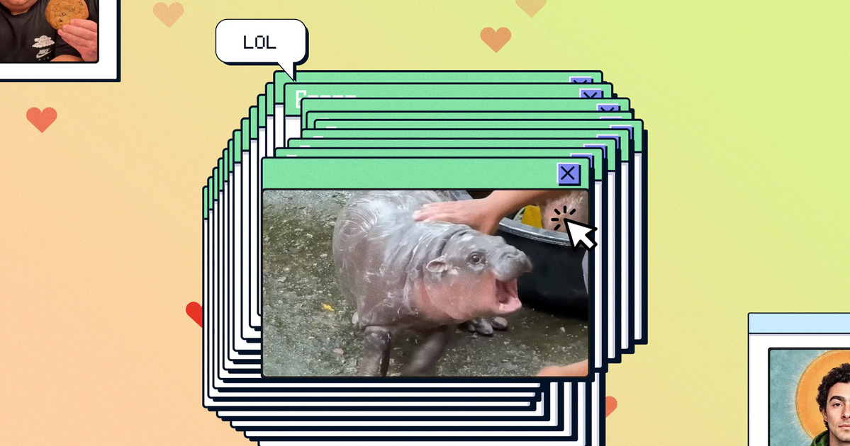 2024 in memes: Our year in trash internet culture