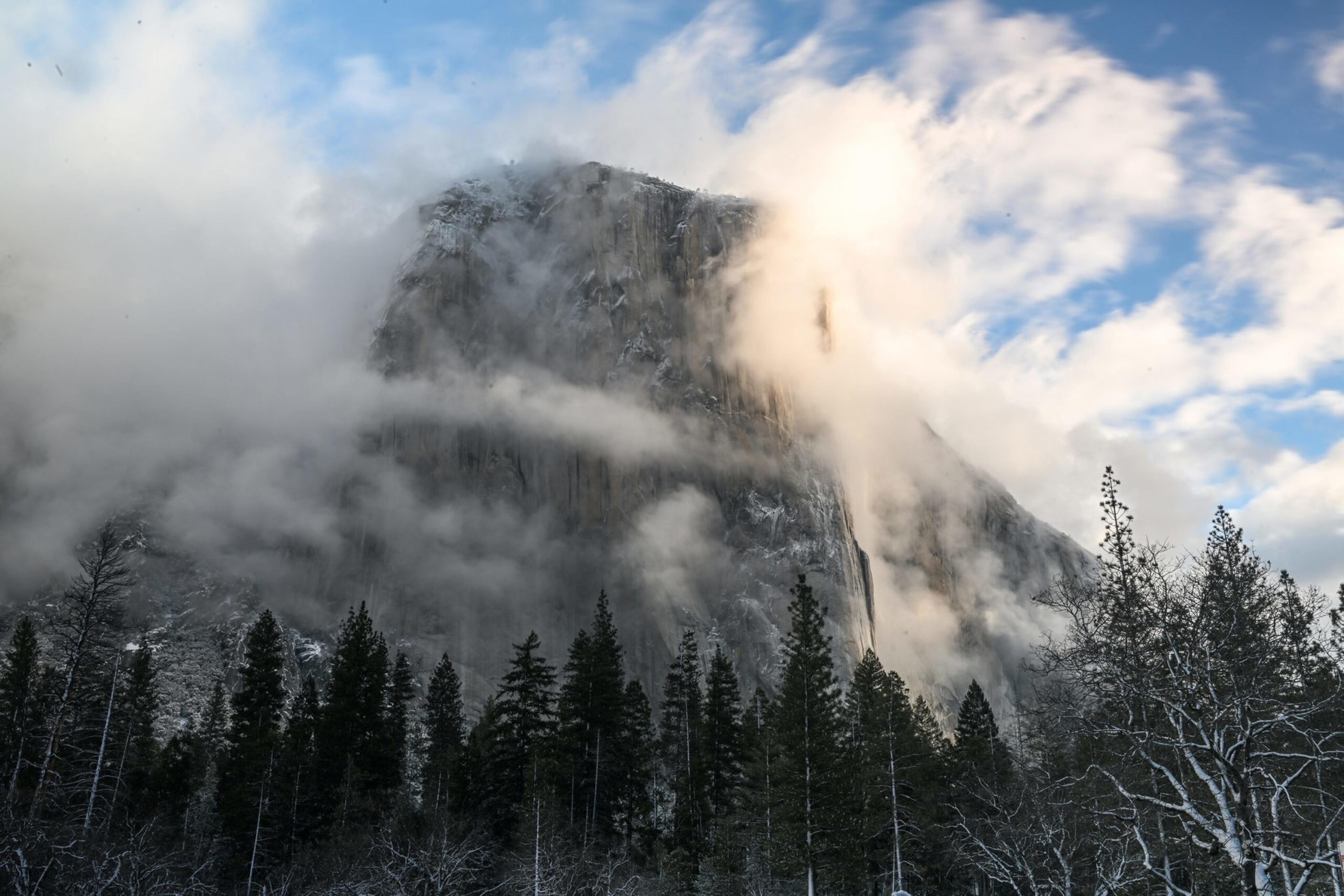 A mountain surrounded by clouds with trees in the foreground.