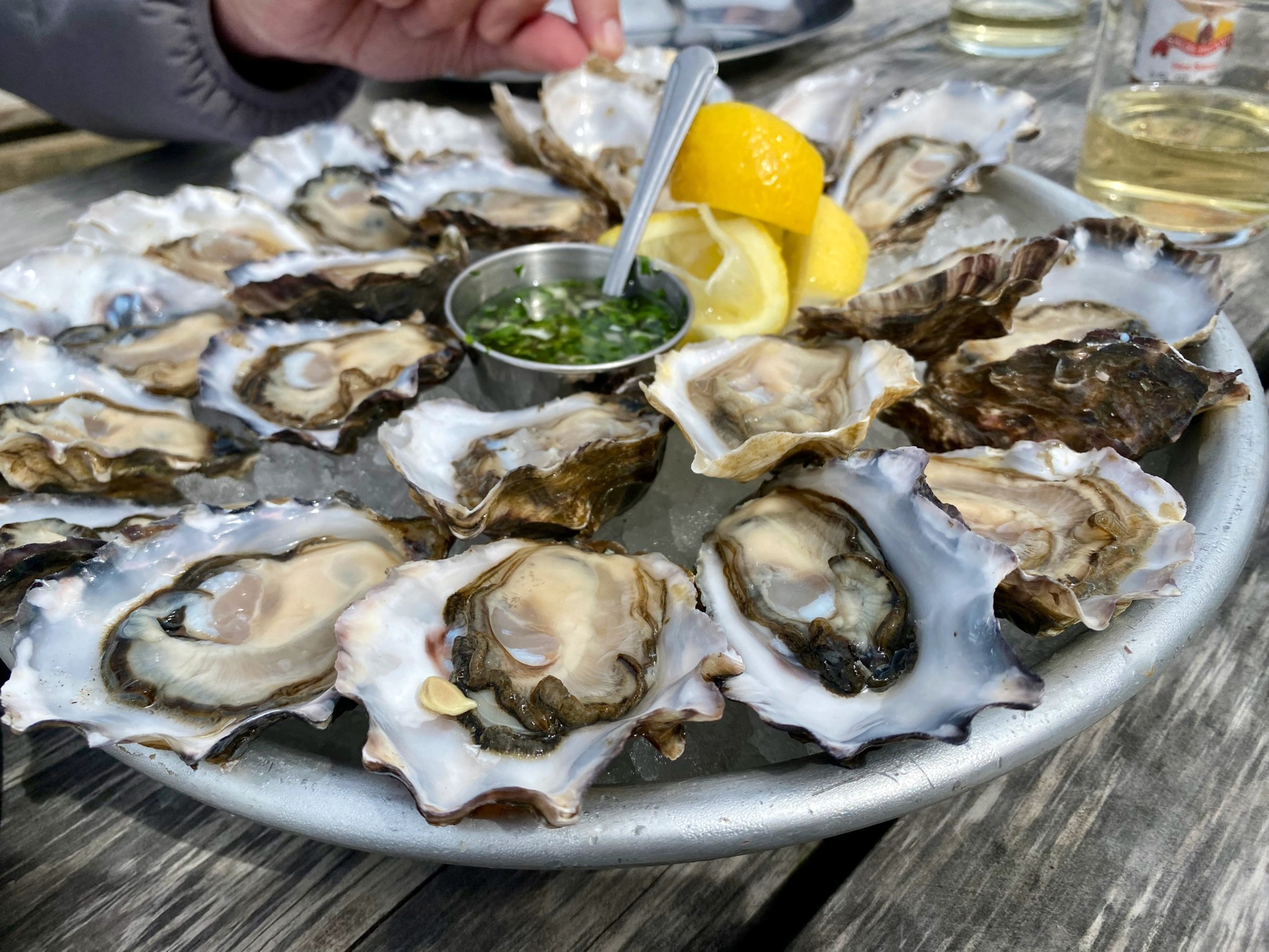 A plate of oysters.