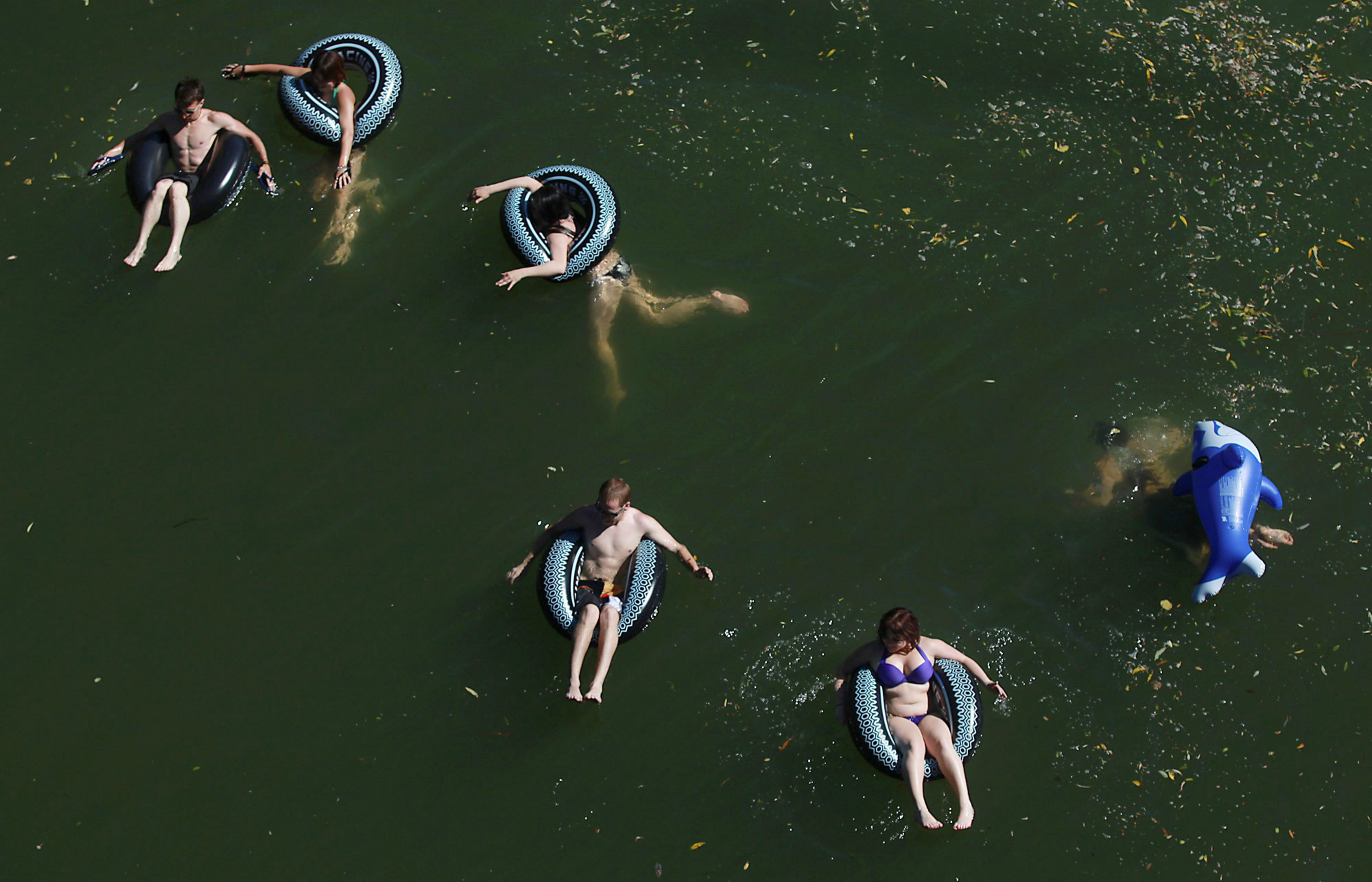 People are floating in green water on inflatable tubes and a blue inflatable dolphin. They're relaxing and enjoying a sunny day.