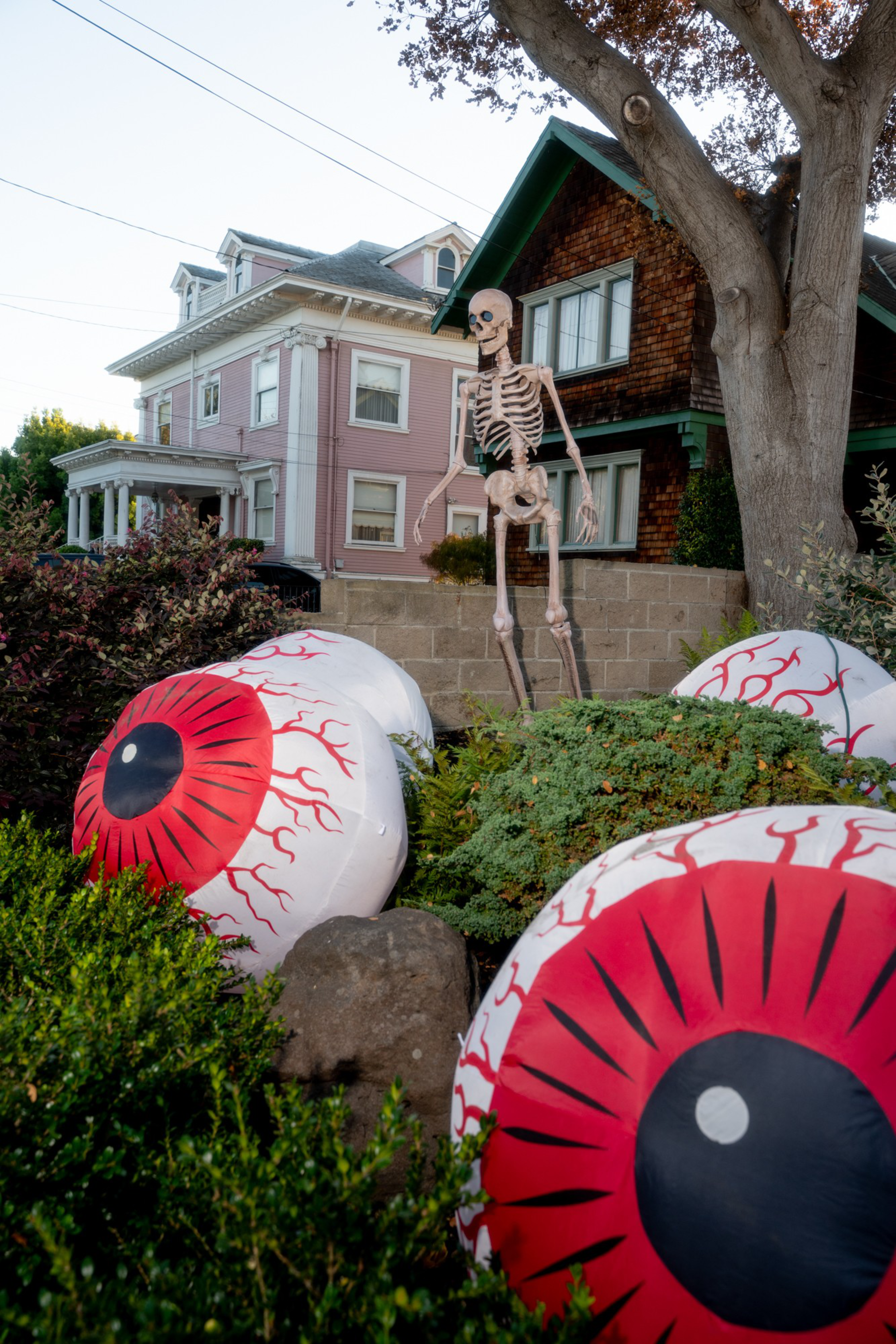 A yard decorated with large, inflatable eyeballs and a standing skeleton, set against a backdrop of two houses and greenery.