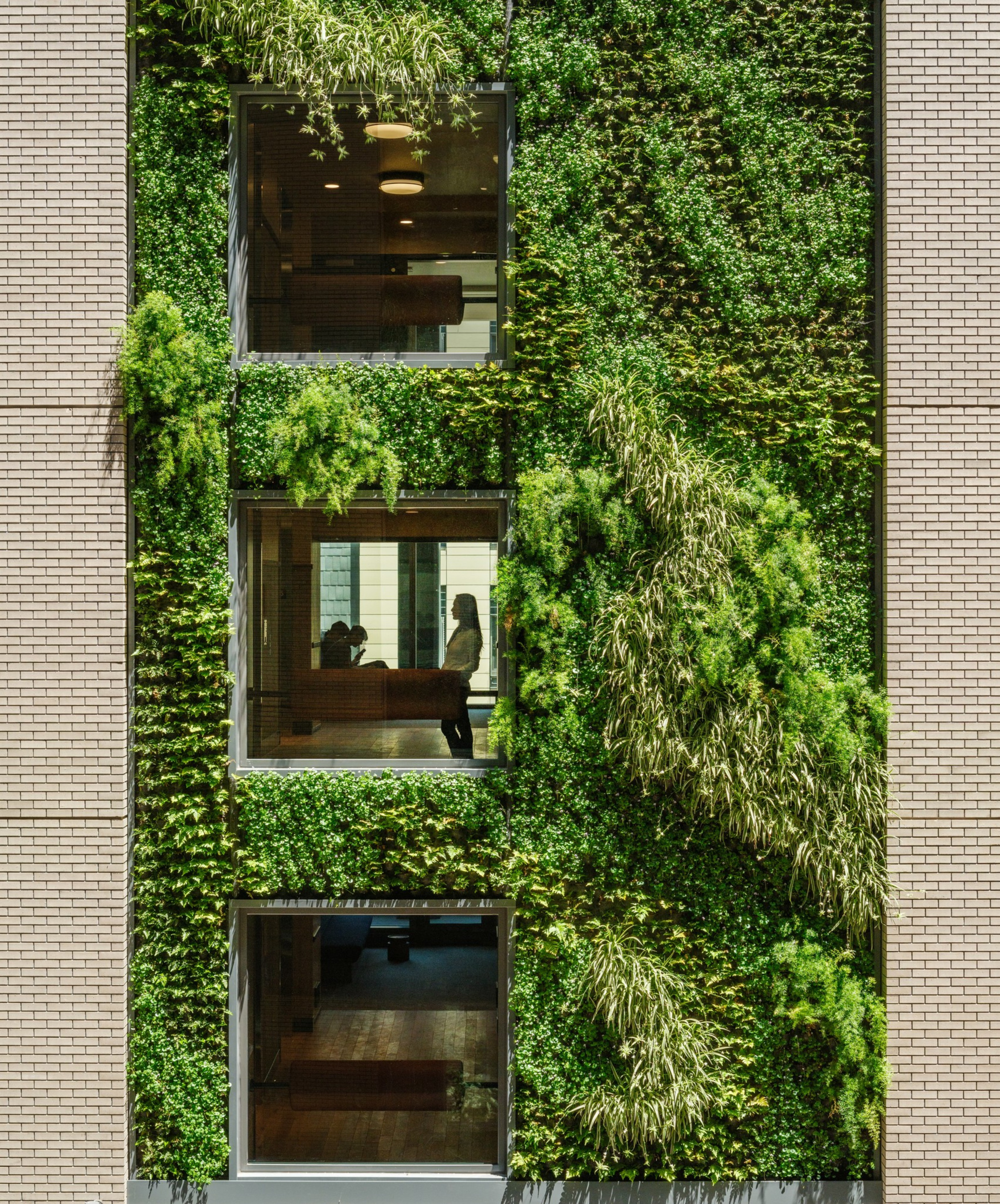 A building facade with a lush green vertical garden and three large windows, behind which silhouettes of people can be seen through the glass.
