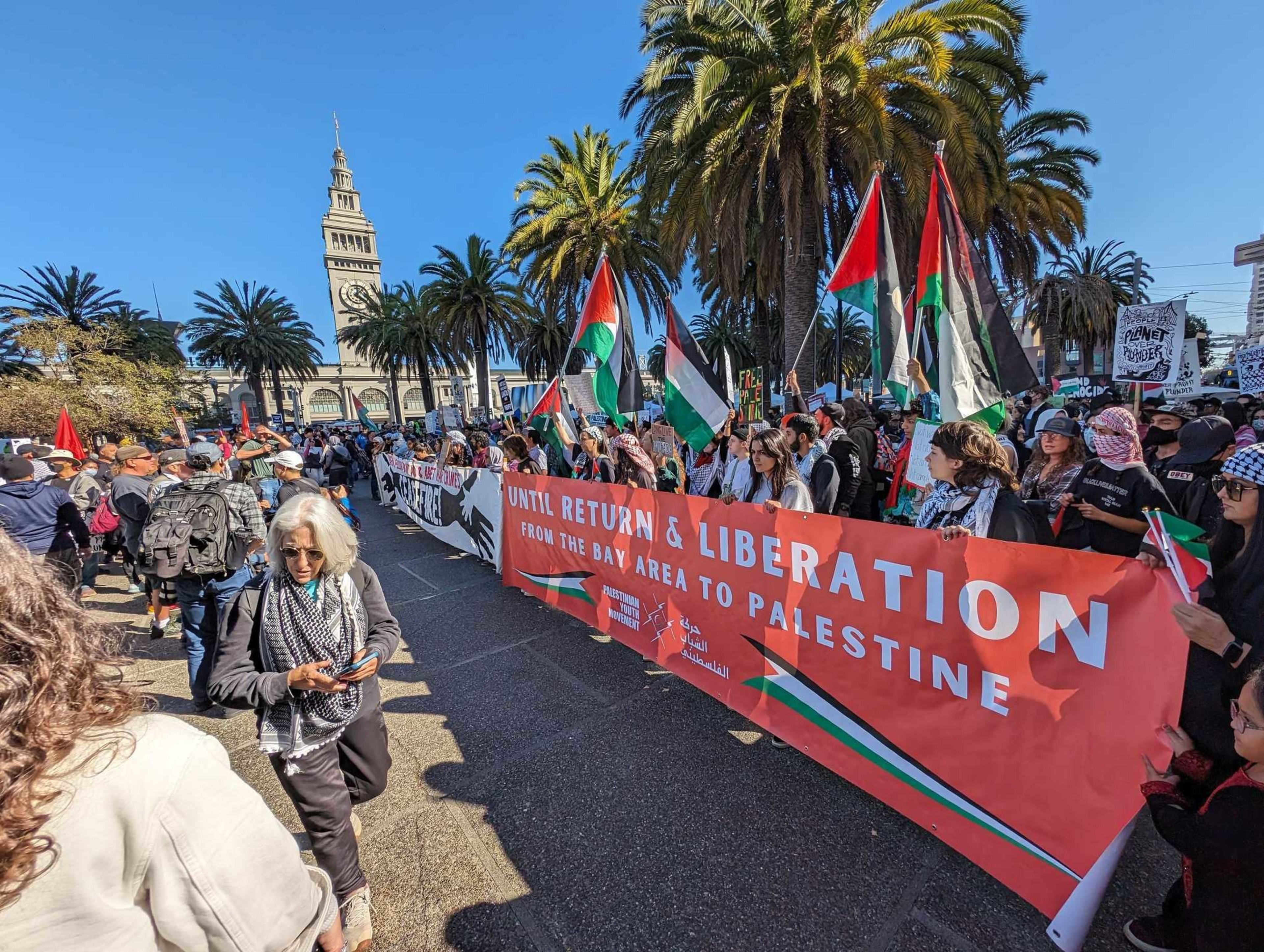 People holding a red banner and waving black, red, green and white palestinian flags stand under palm trees in a plaza.