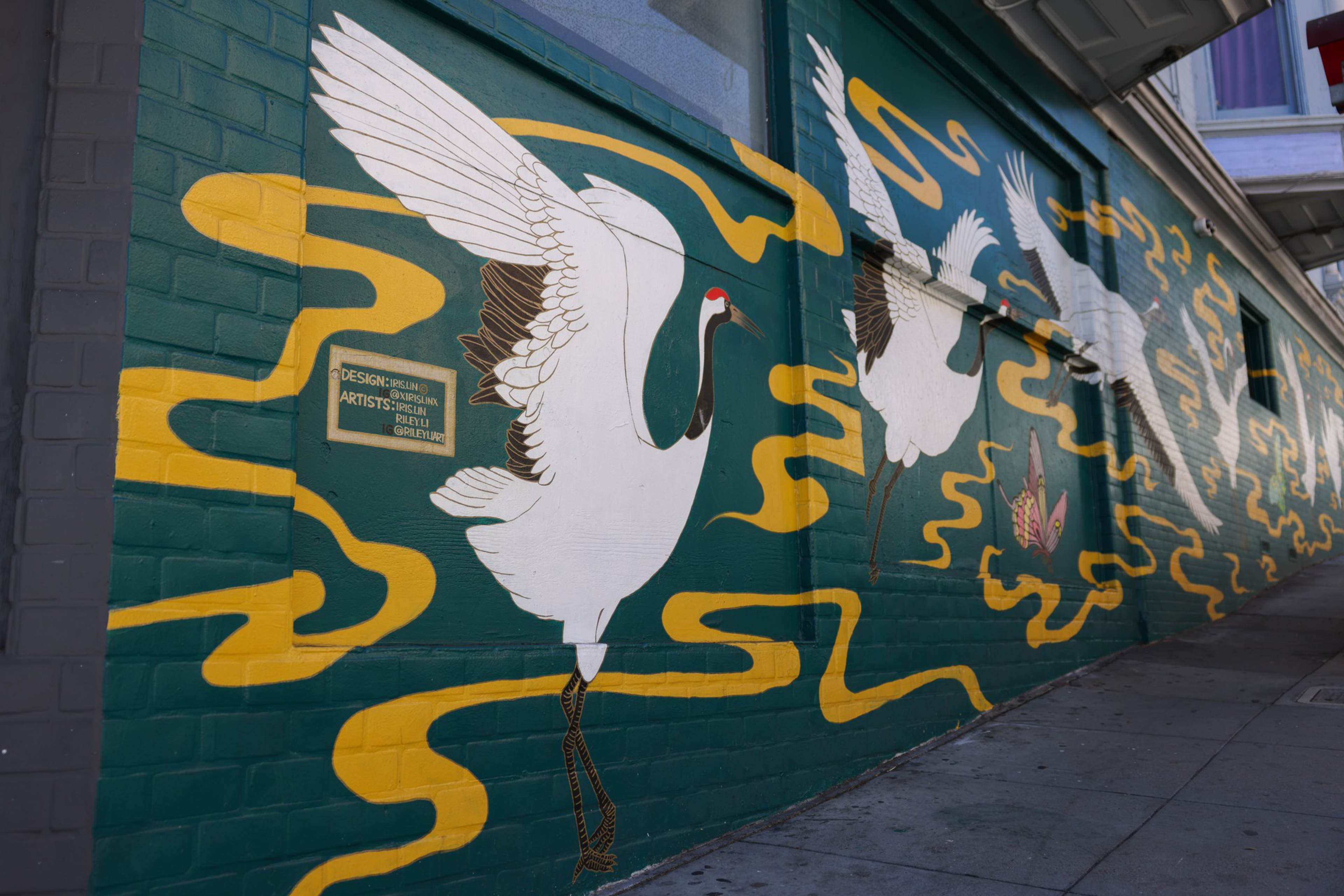 Mural of flying red-headed cranes on a green background