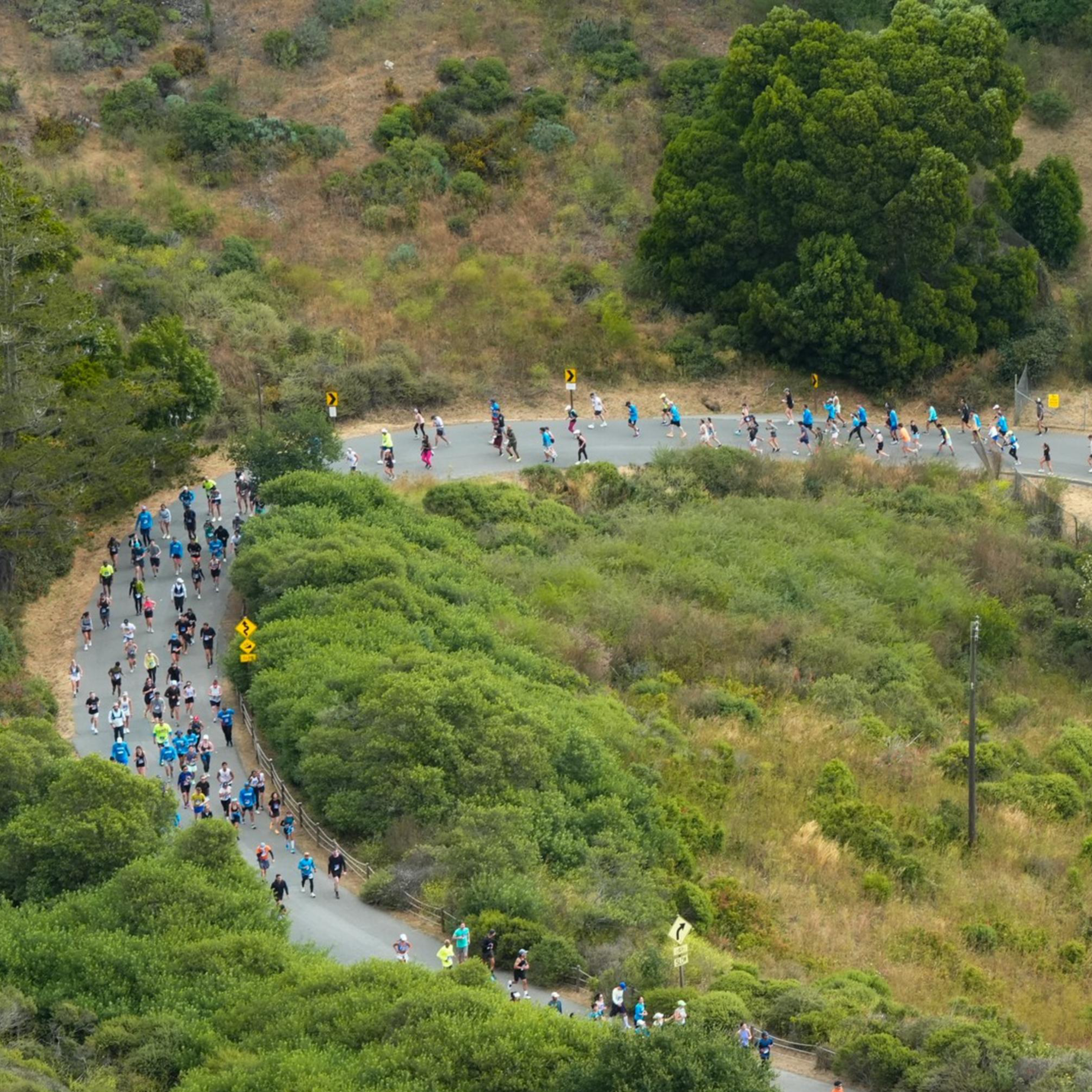 A large group of runners is navigating a winding road through a green, hilly landscape. The road curves sharply and is surrounded by dense, lush vegetation.
