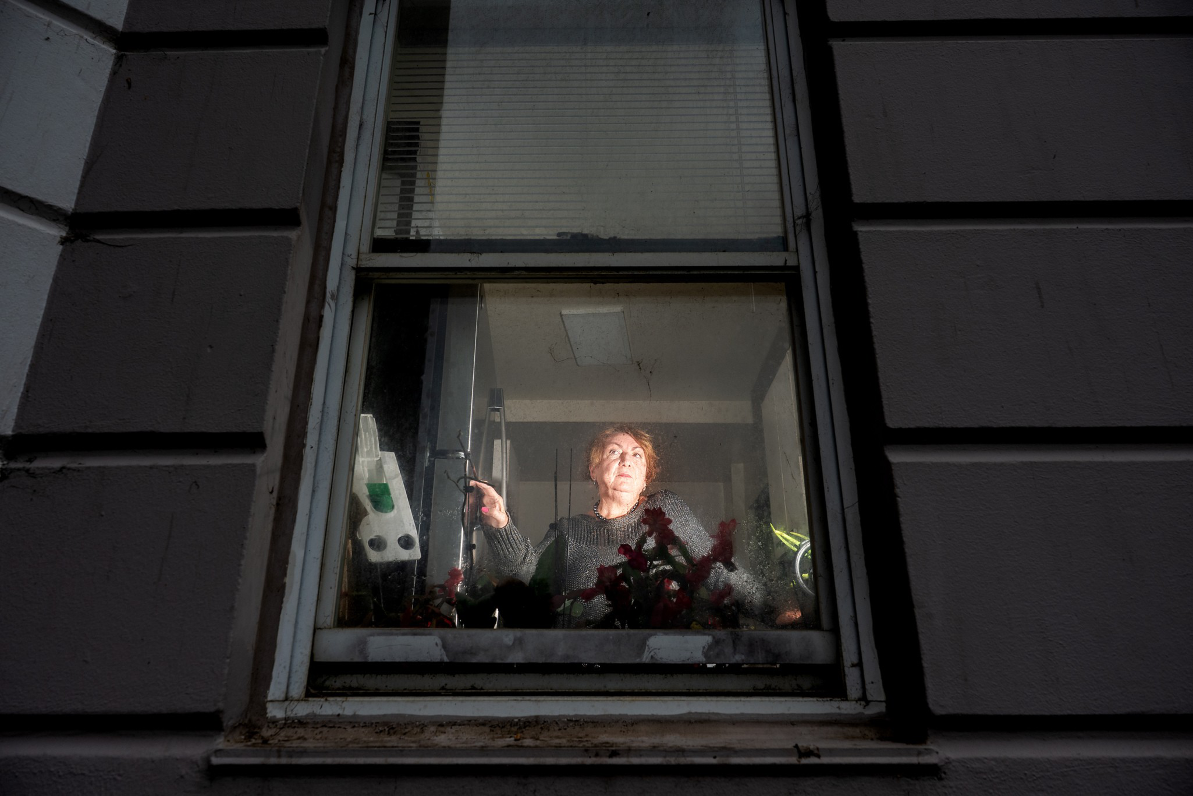 A woman in a dark sweater stands behind a window, looking outside with a thoughtful expression, surrounded by red flowers on the windowsill.