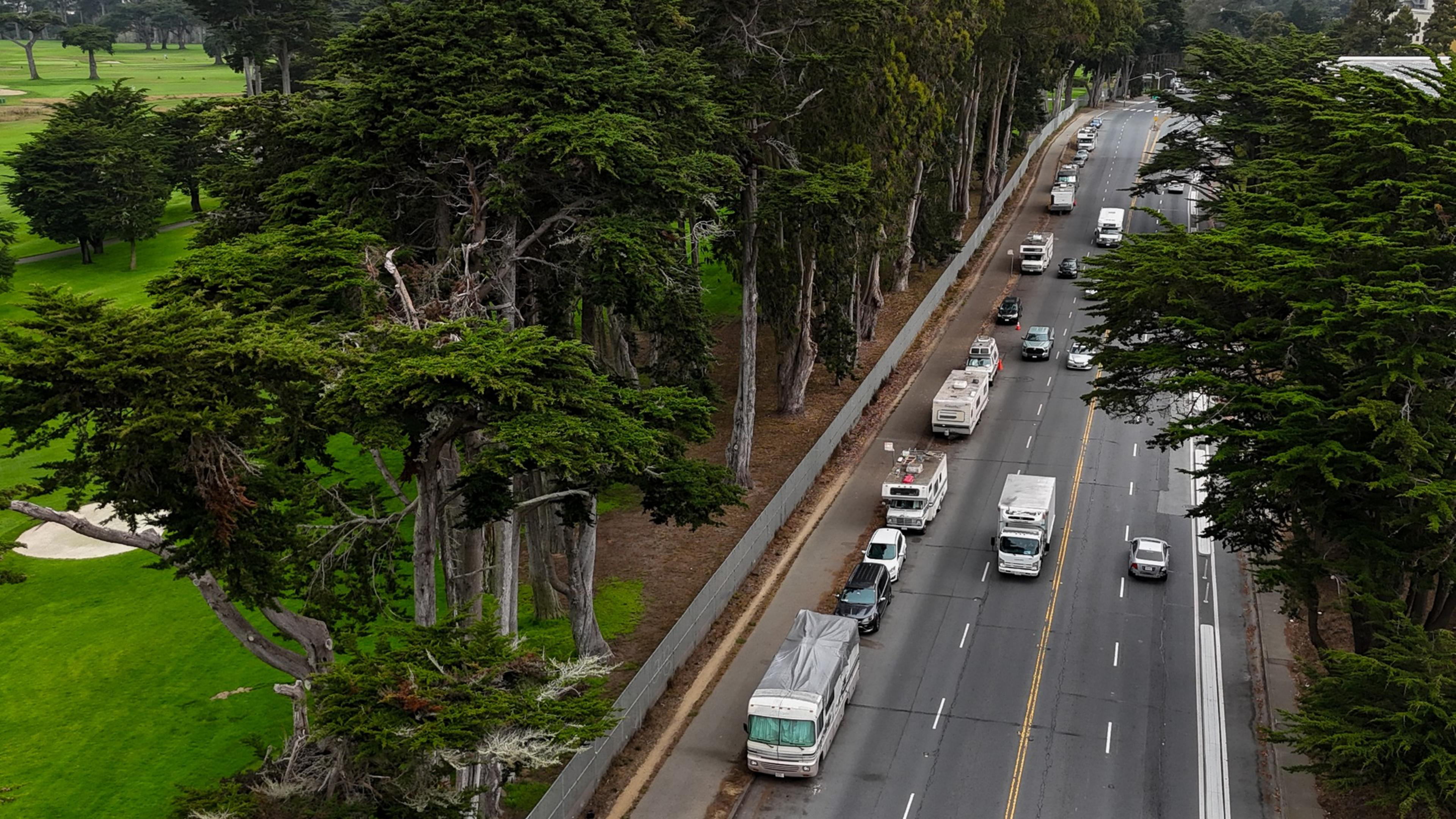 A road lined with tall trees has vehicles parked on one side and moving in both lanes. On the left is a green park area with dense trees.