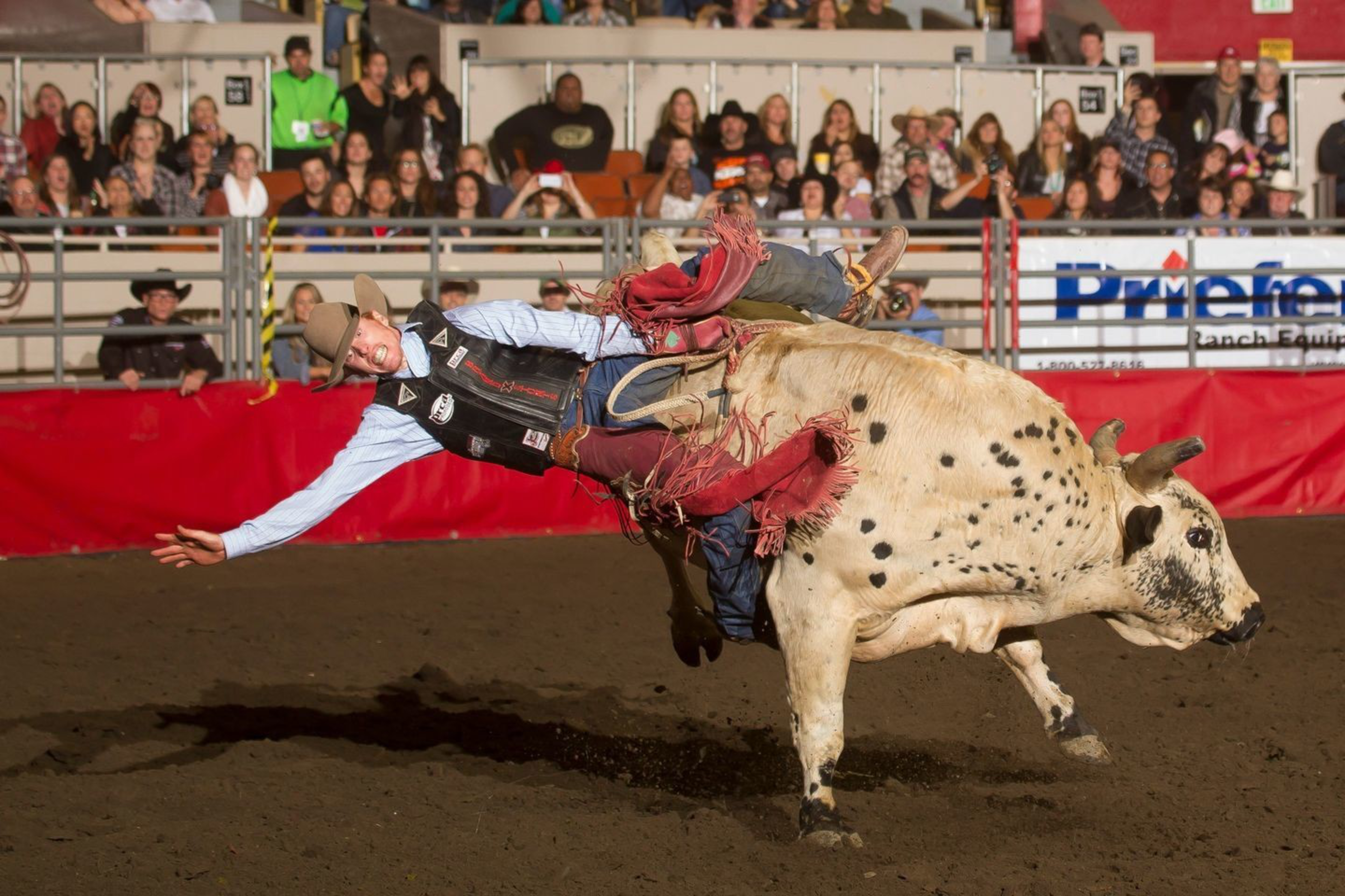 A cowboy is being flung off a bucking bull in a rodeo arena, with spectators in the background.