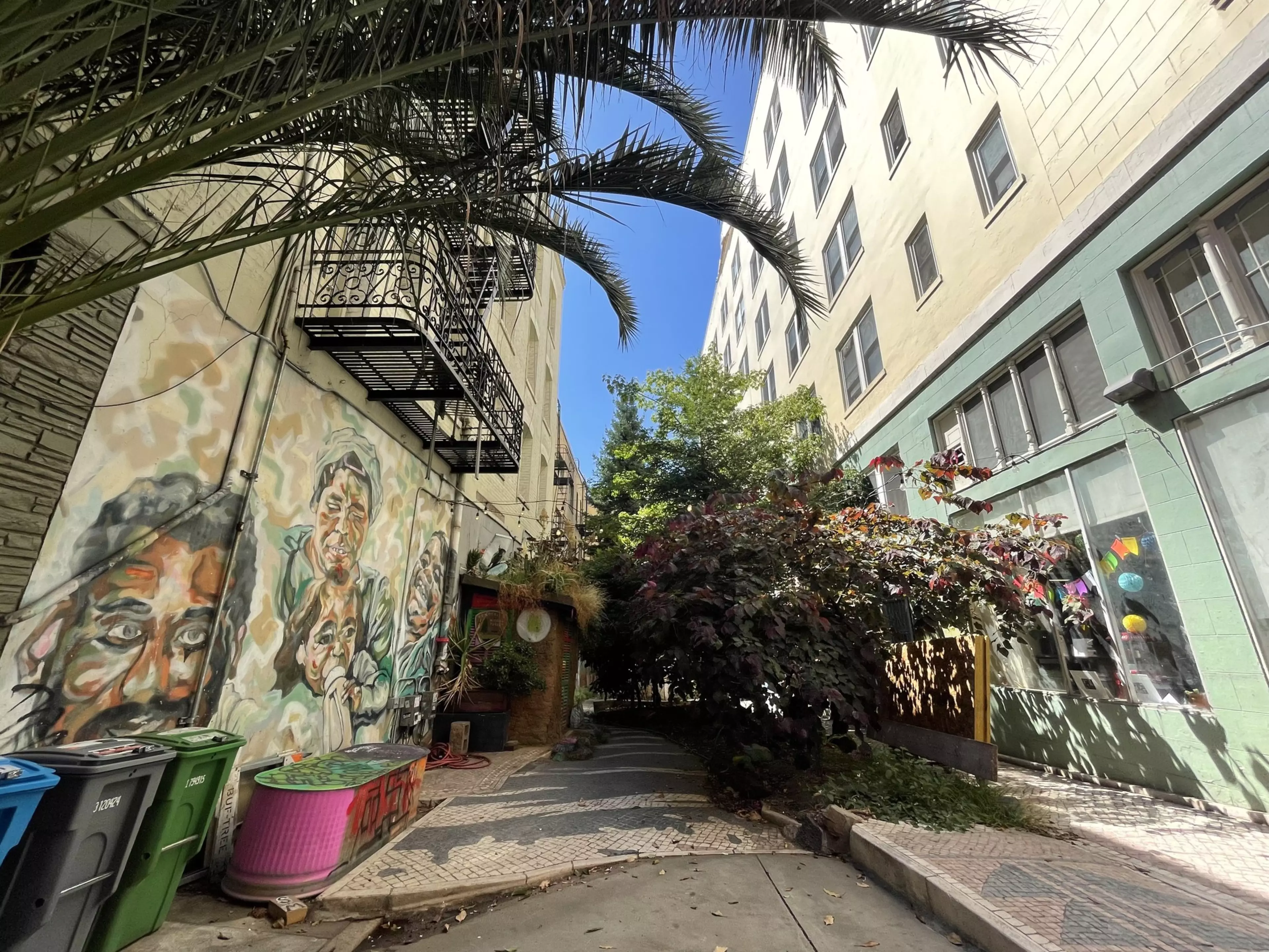San Francisco to reopen tree-filled art oasis in troubled